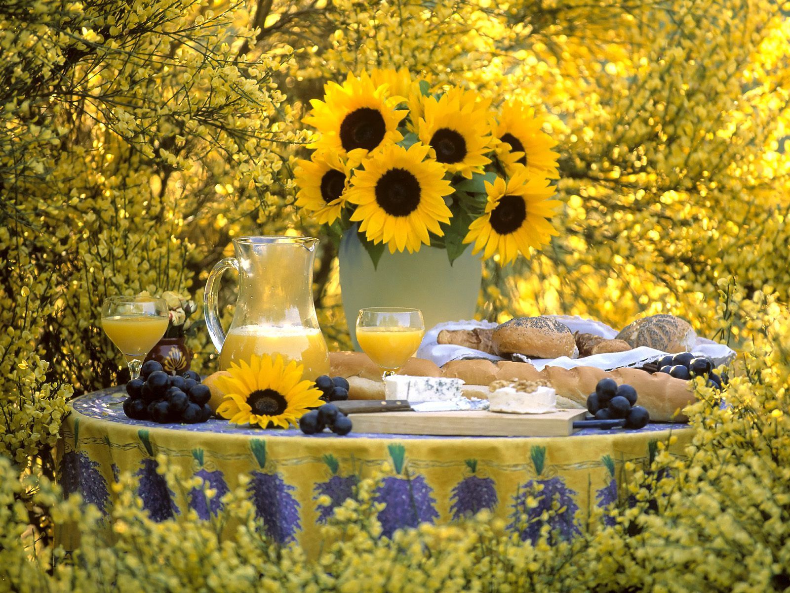 Handy-Wallpaper Blumen, Sonnenblumen, Trauben, Gebäck, Schönheit, Strauß, Bouquet, Krug, Tisch, Tabelle, Vase, Garten, Brötchen kostenlos herunterladen.