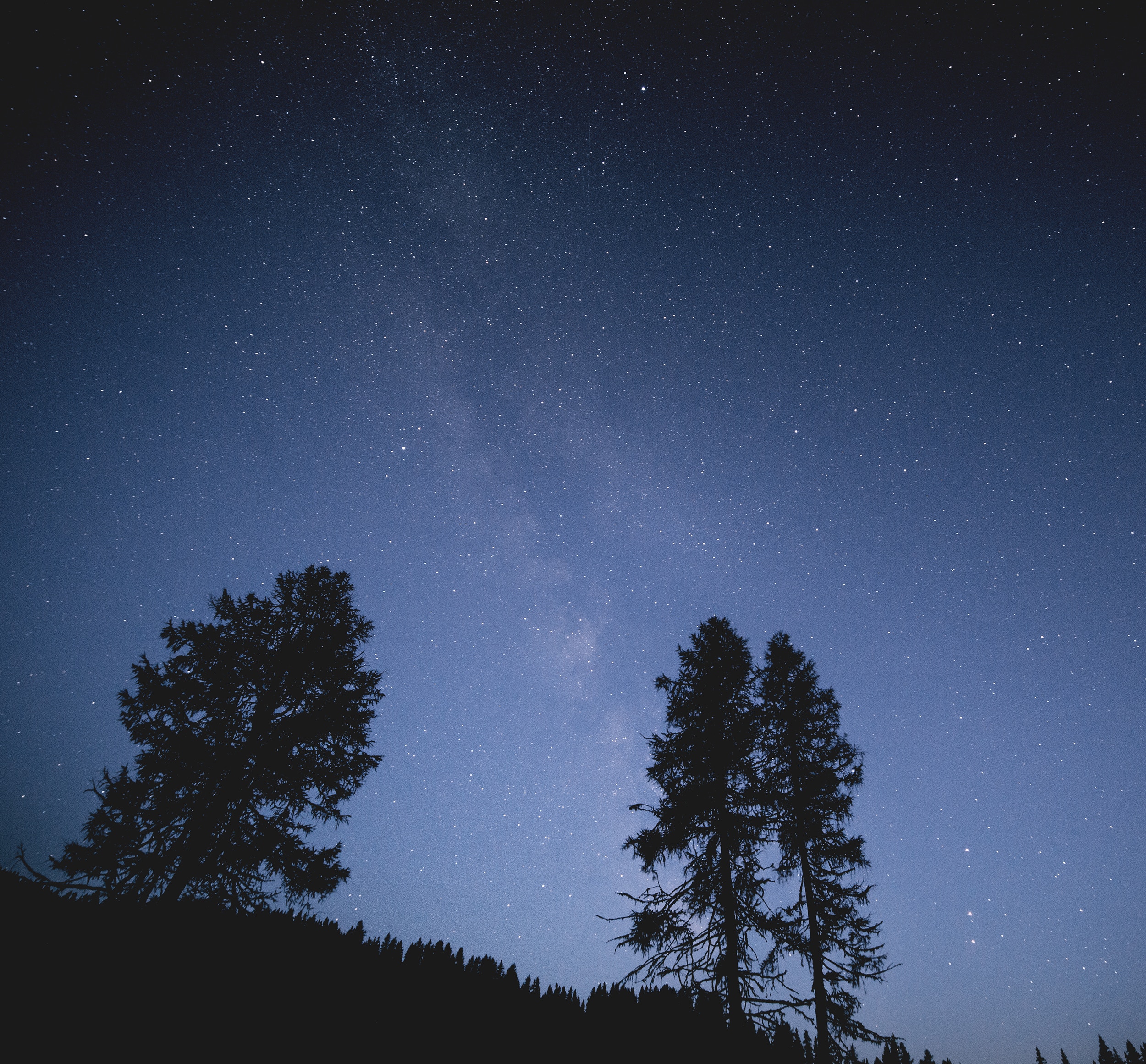 night, trees, stars, dark, starry sky iphone wallpaper