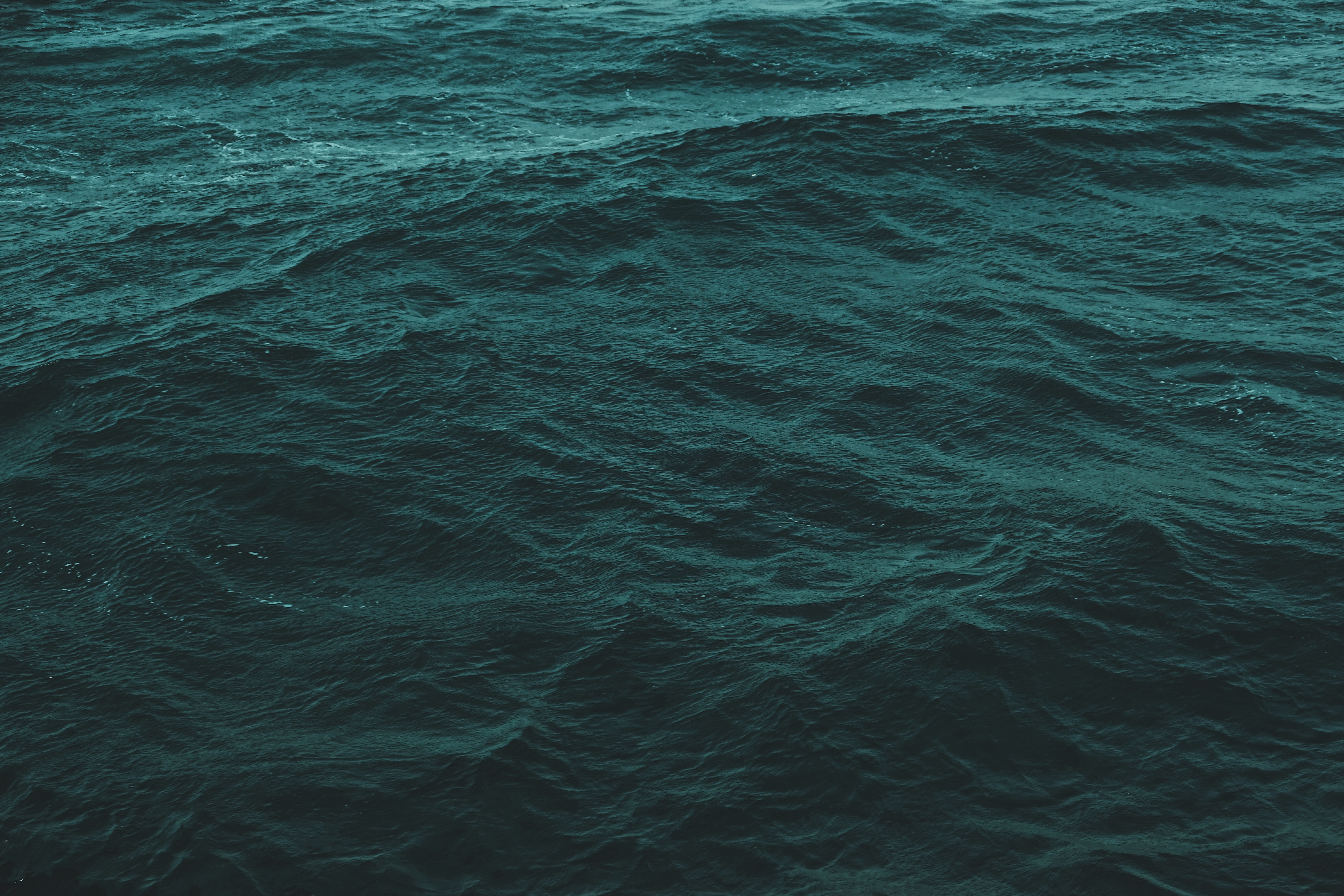 ripples, nature, water, sea, waves, ripple, ocean, surface