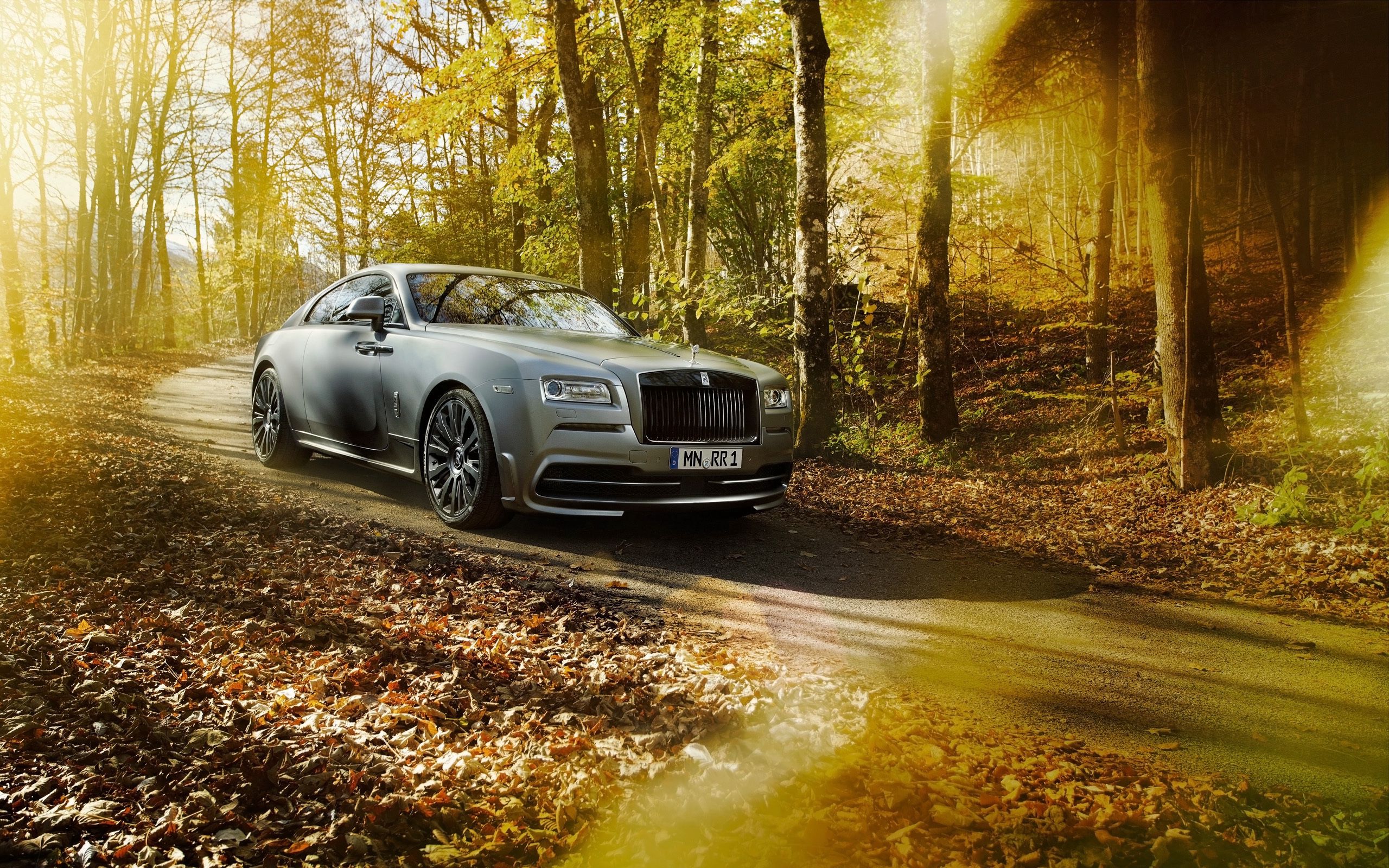 rolls royce, side view, autumn, spofec, cars, park, silver, silvery, wraith phone wallpaper