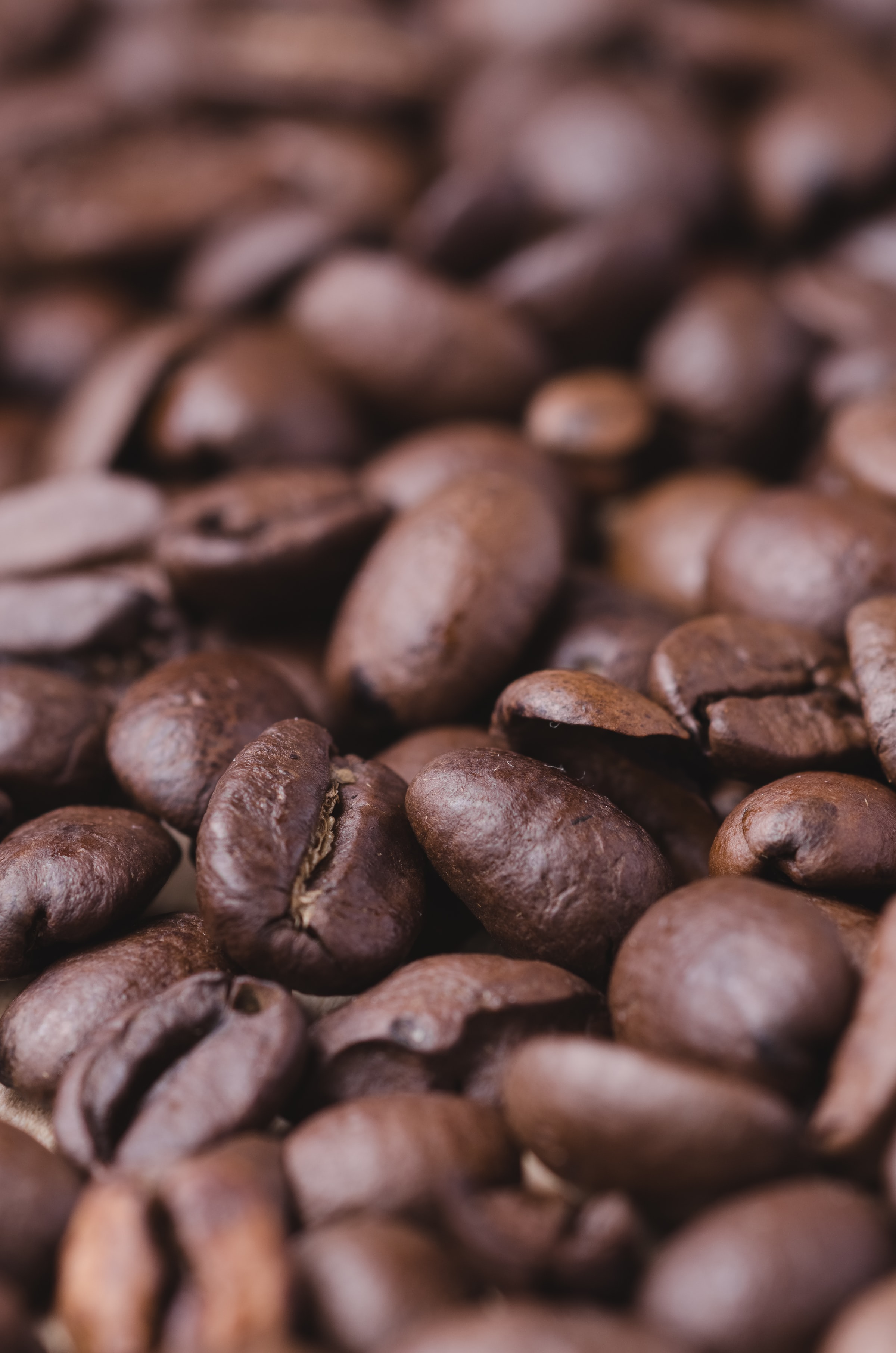 Laden Sie das Coffee, Korn, Makro, Getreide, Kaffeebohnen-Bild kostenlos auf Ihren PC-Desktop herunter