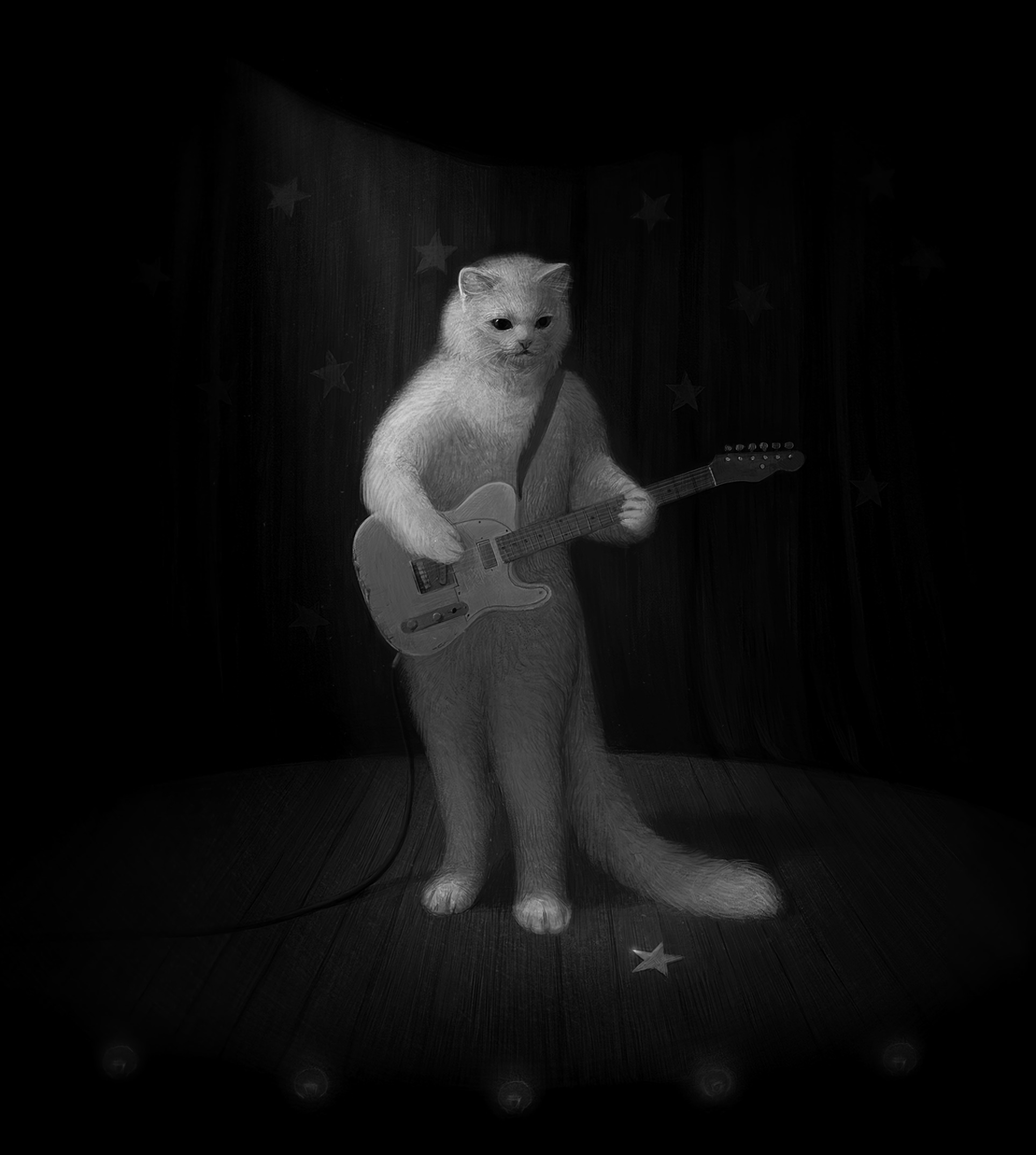 art, bw, guitar, chb, musician, cat