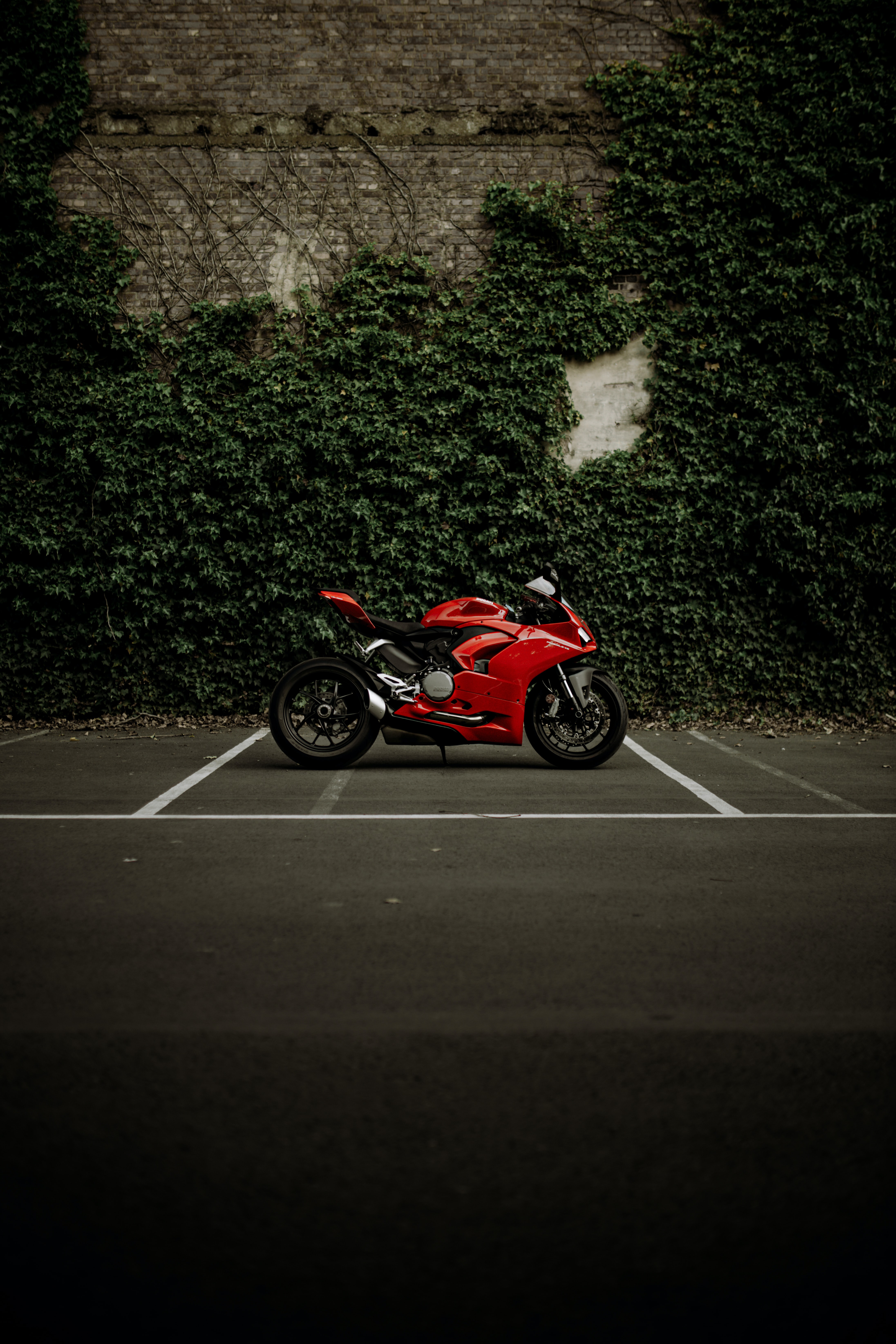 4K Phone Wallpaper motorcycle, ducati, red, ducati panigale v2