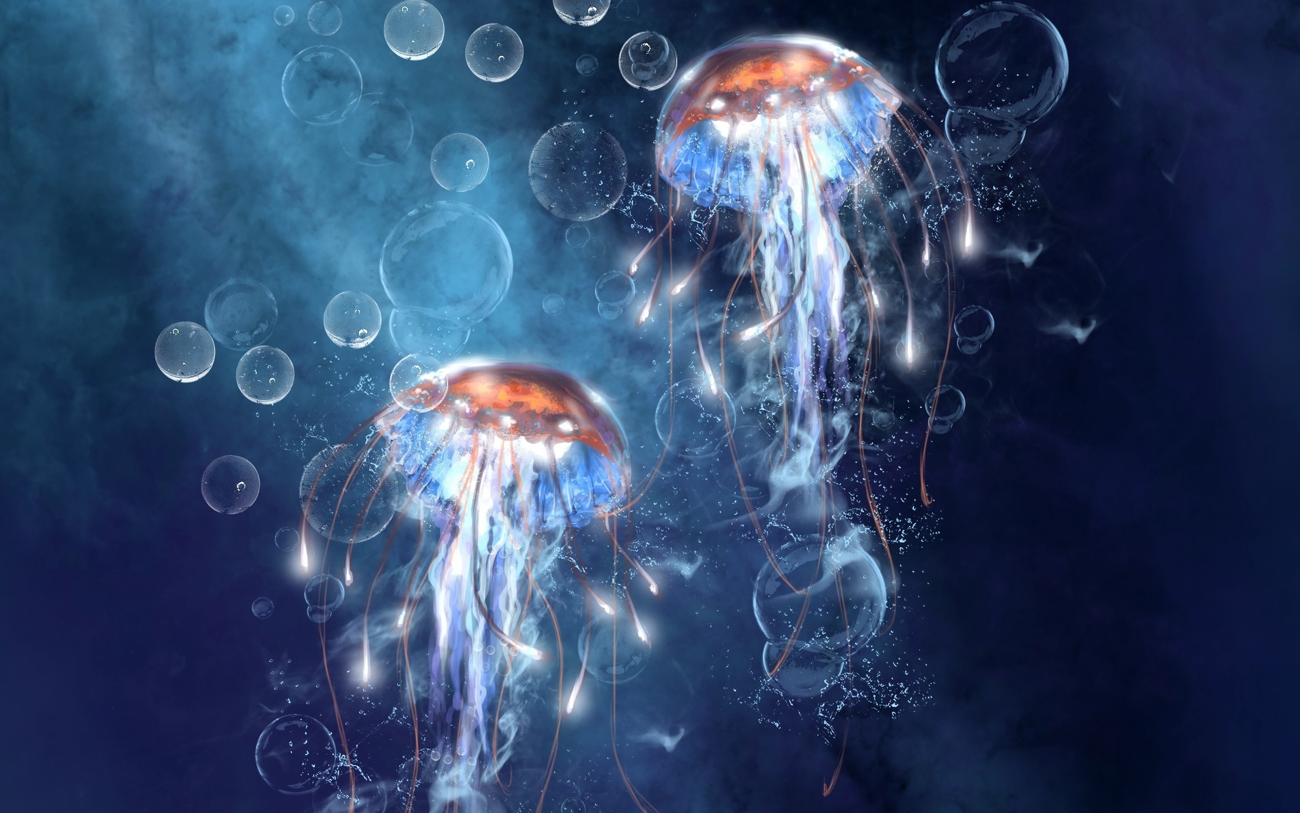 36511 Hintergrundbilder und Jellyfish Bilder auf dem Desktop. Laden Sie tiere, blau Bildschirmschoner kostenlos auf den PC herunter