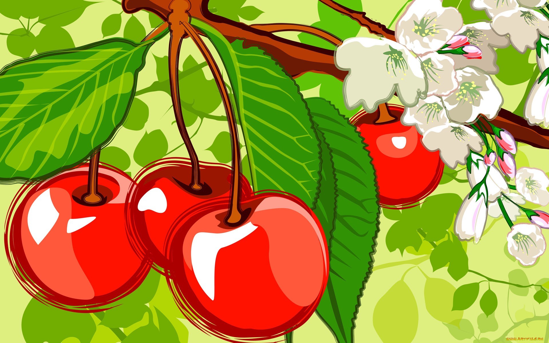 手機的14283屏保和壁紙图片。 免費下載 浆果, 绿色, 食物, 樱桃 圖片