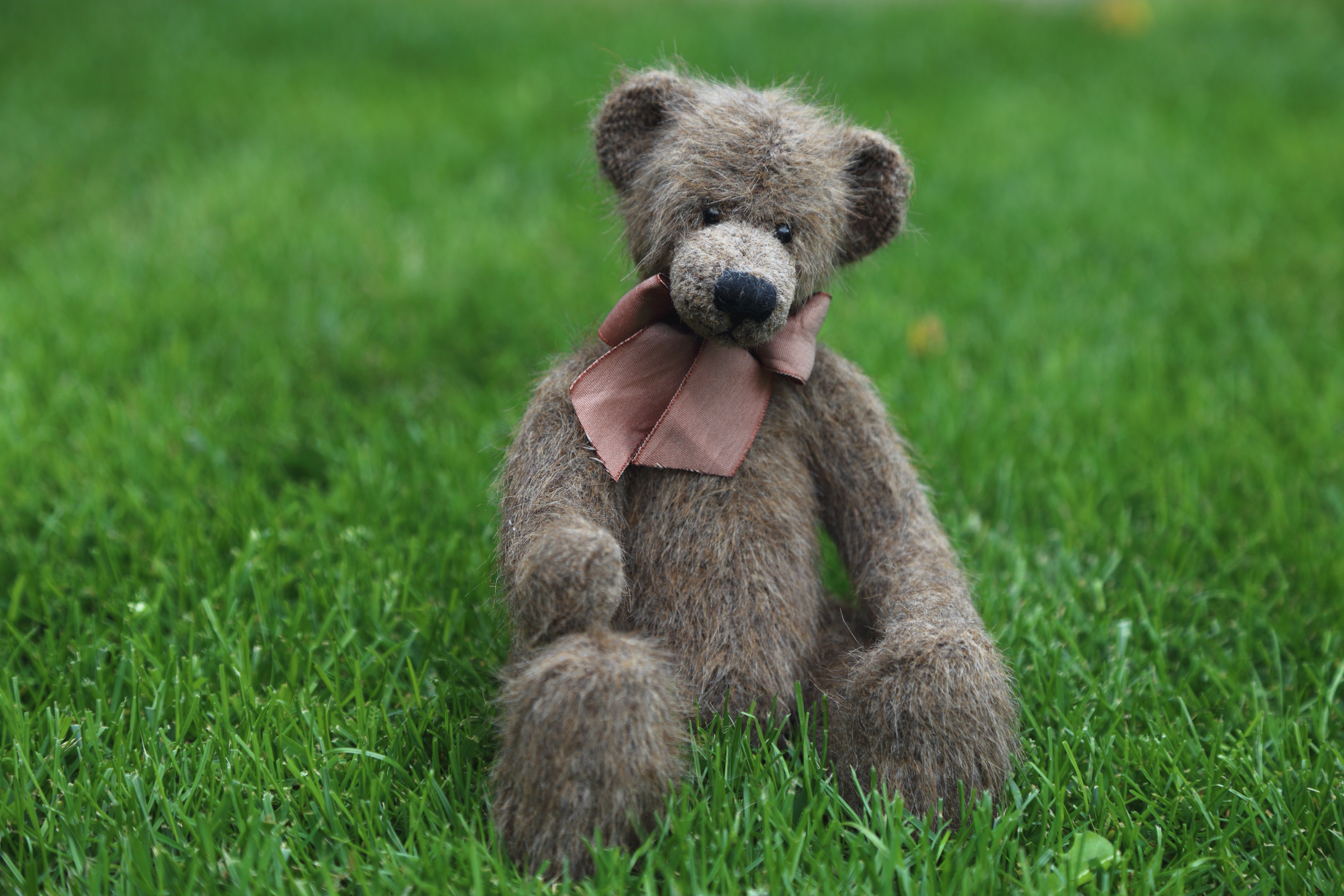 Laden Sie das Grass, Spielzeug, Teddybär, Verschiedenes, Sonstige-Bild kostenlos auf Ihren PC-Desktop herunter