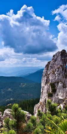 Фотографии в самом высоком качестве