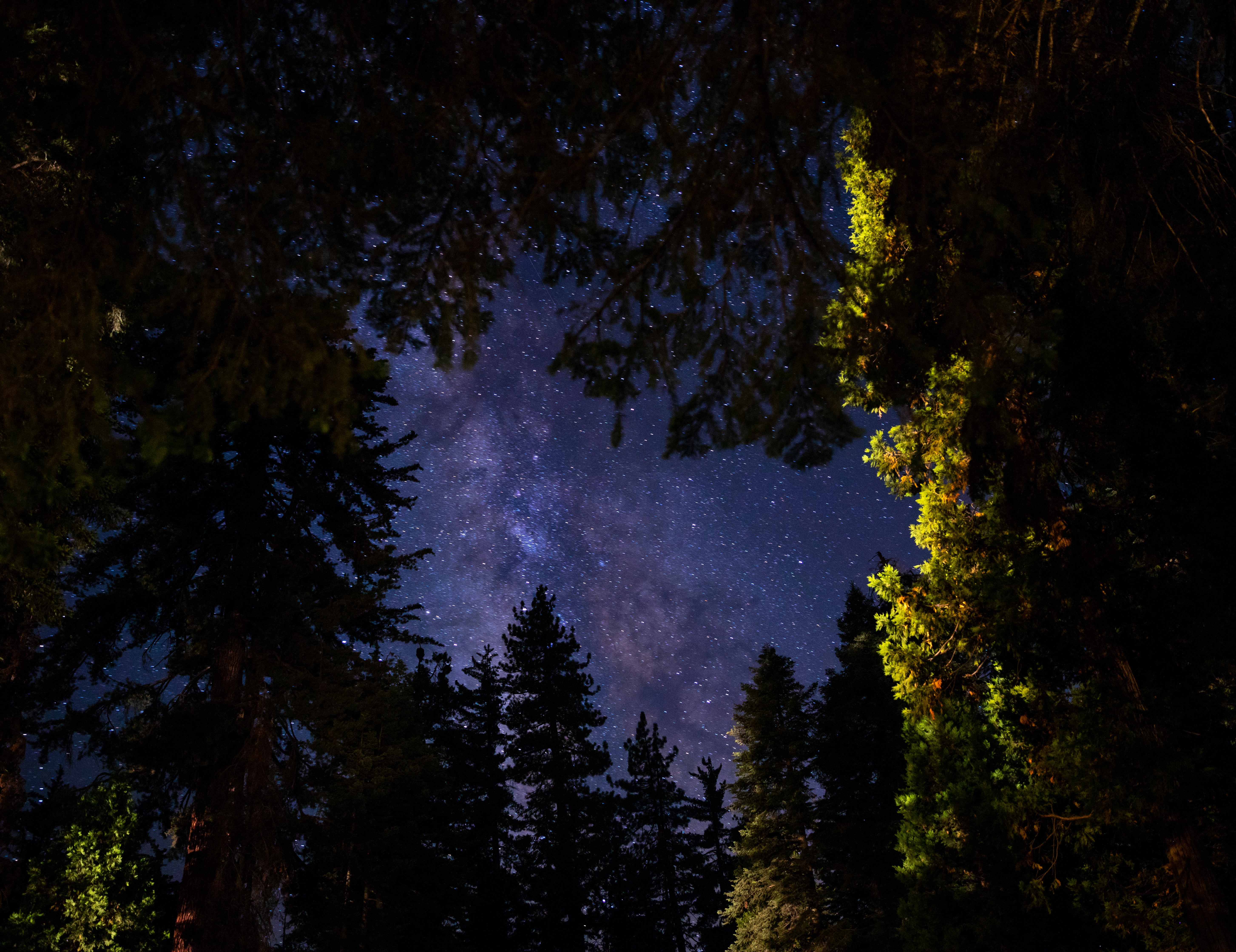 Laden Sie das Übernachtung, Bäume, Sky, Sterne, Dunkel-Bild kostenlos auf Ihren PC-Desktop herunter
