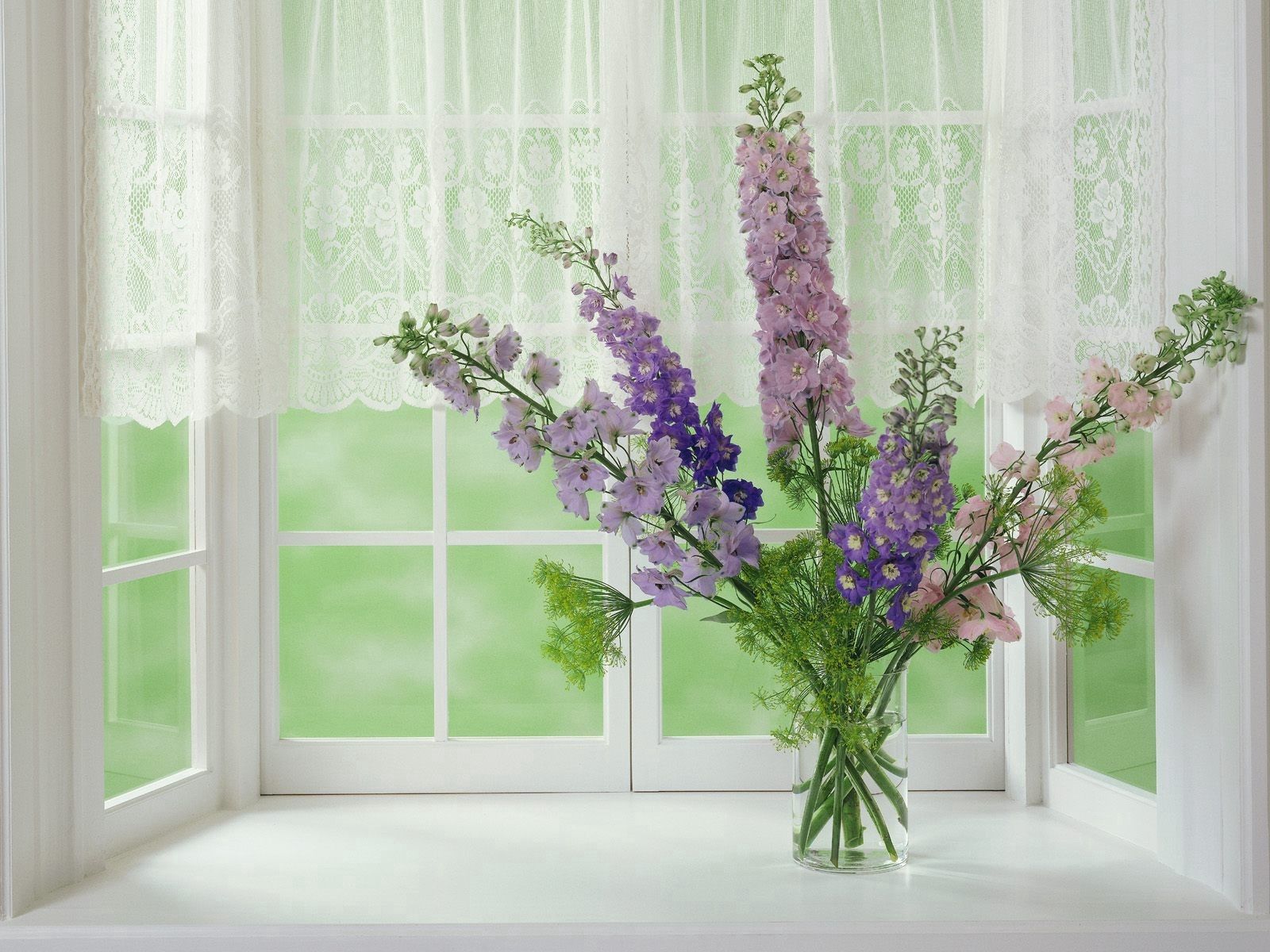 Handy-Wallpaper Blumen, Gladiole, Strauß, Bouquet, Fenster, Vase kostenlos herunterladen.