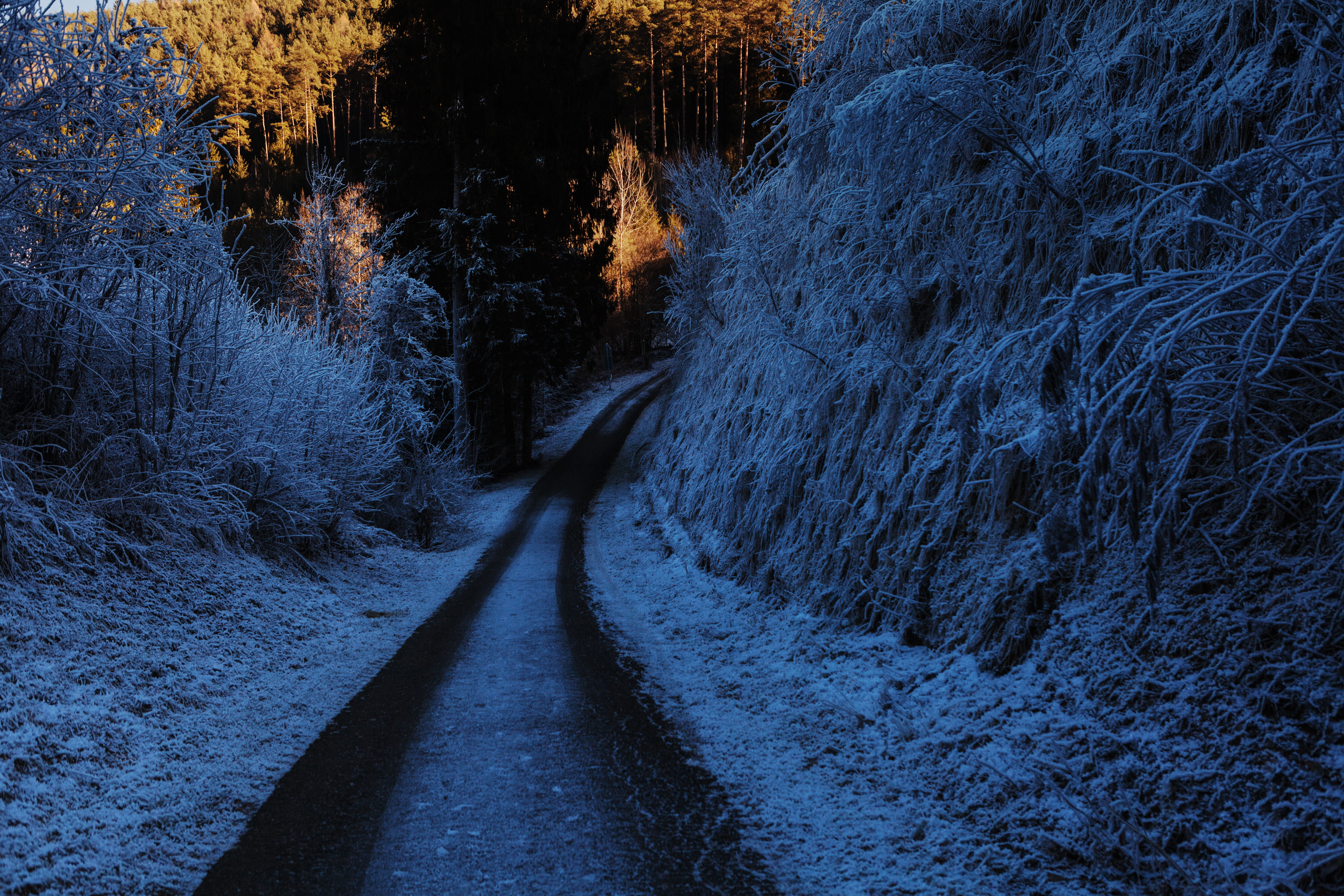 Path winter, turn, trees, nature Lock Screen