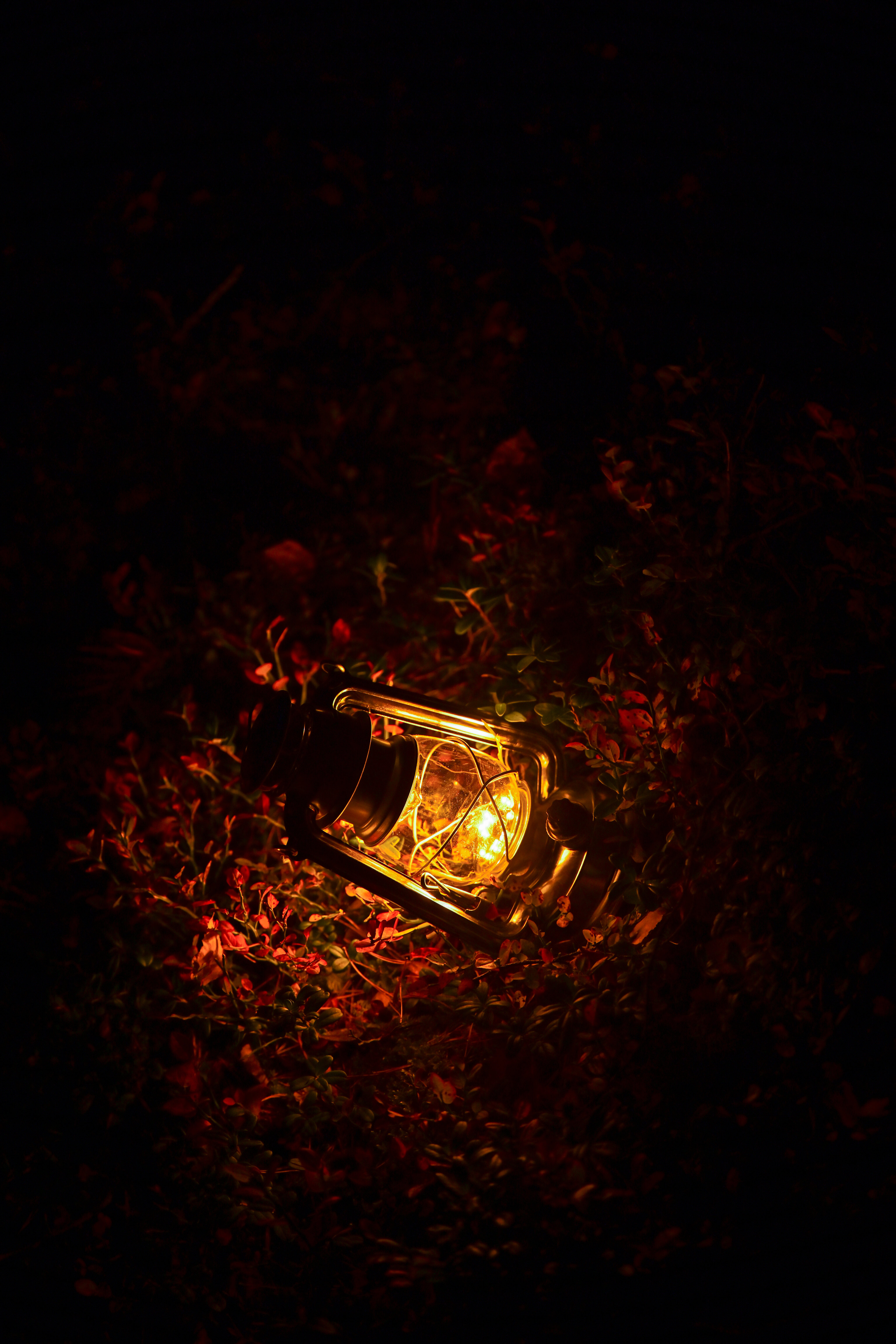 lamp, leaves, dark, lantern, glow phone wallpaper
