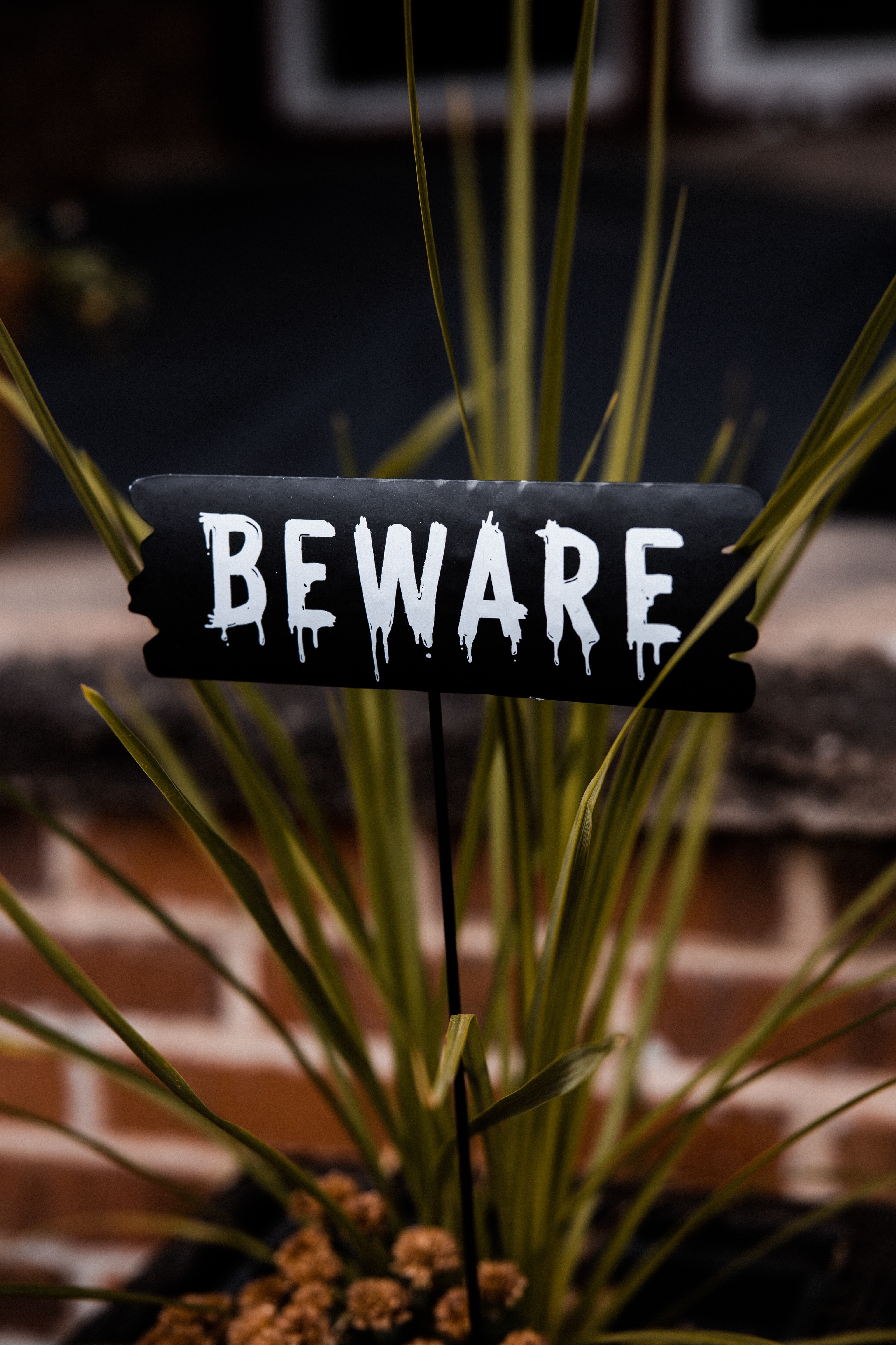 iPhone Wallpapers text, words, plate, beware Word