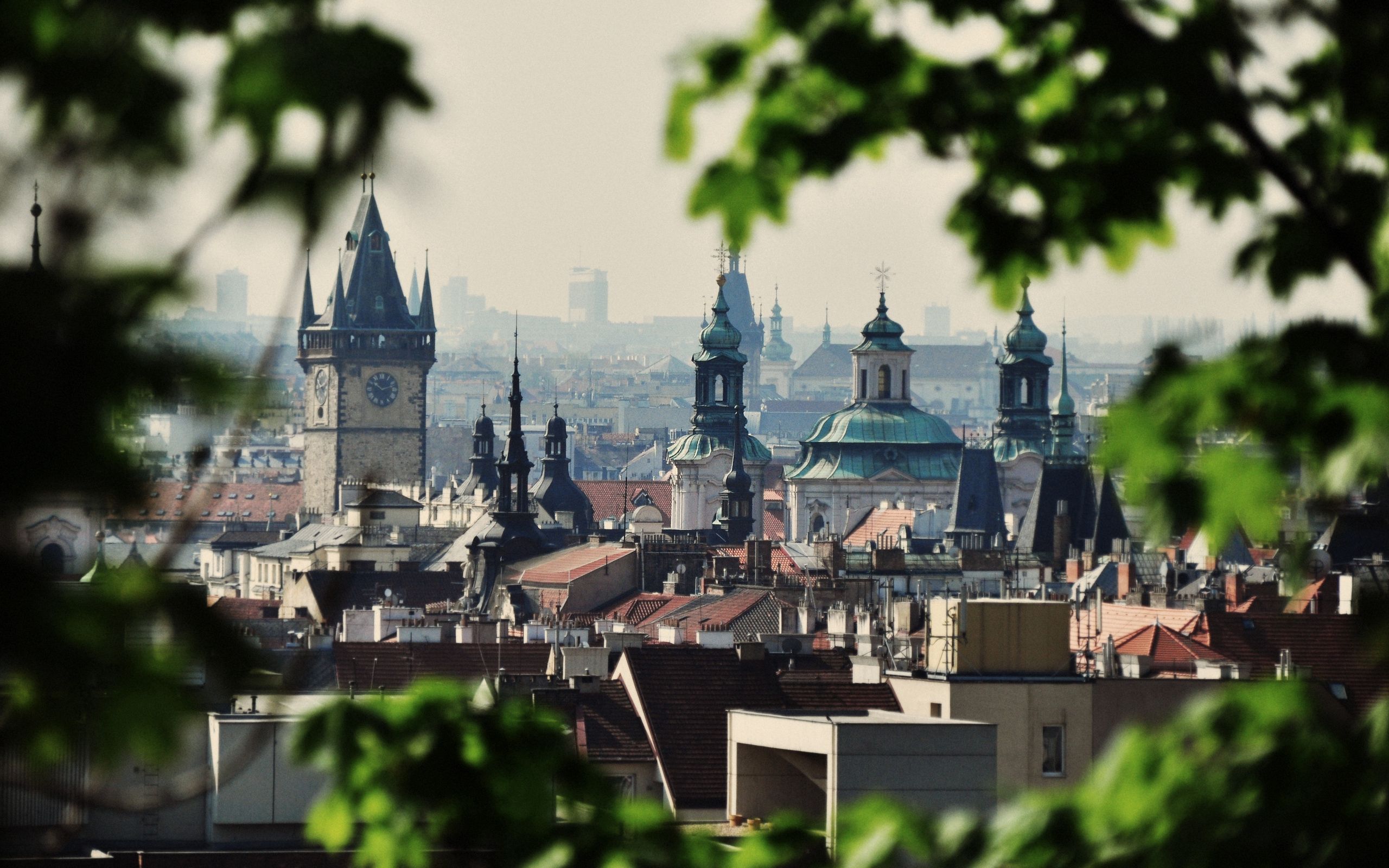 city, trees, czech republic, cities Czechia HQ Background Images