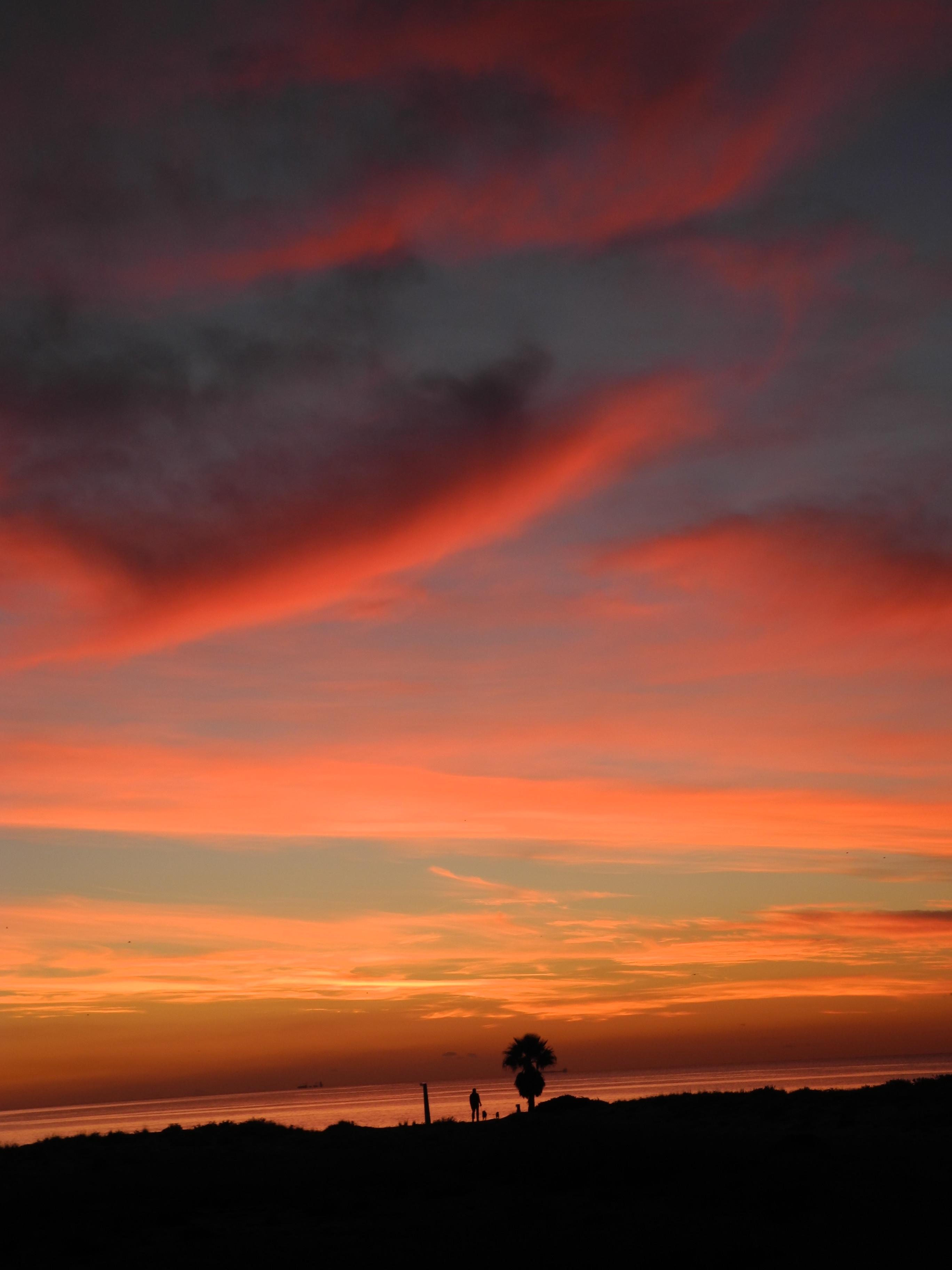 3d Image coast, sky, nature, sunset