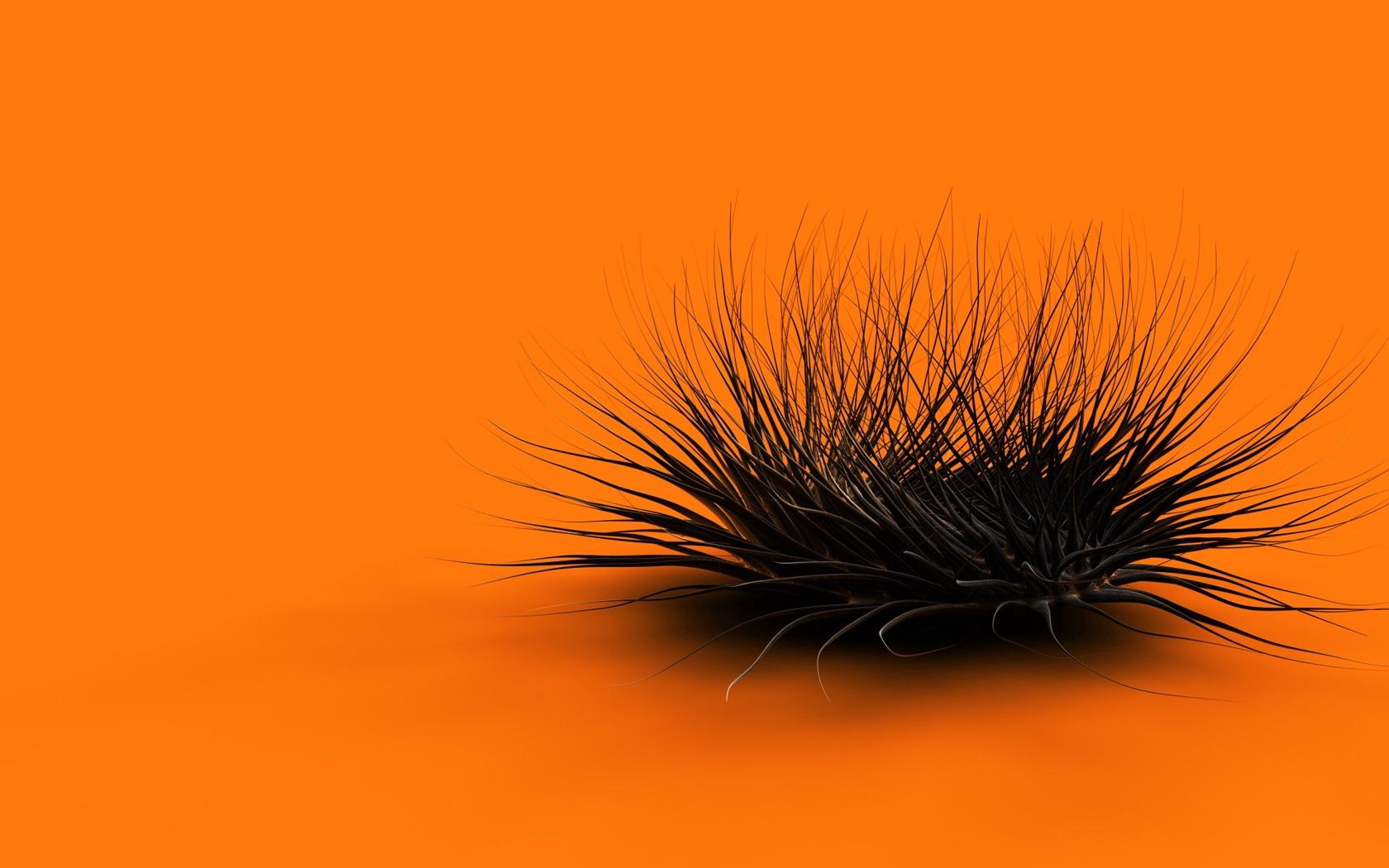Wallpaper for mobile devices black, fuzz, fluff, 3d