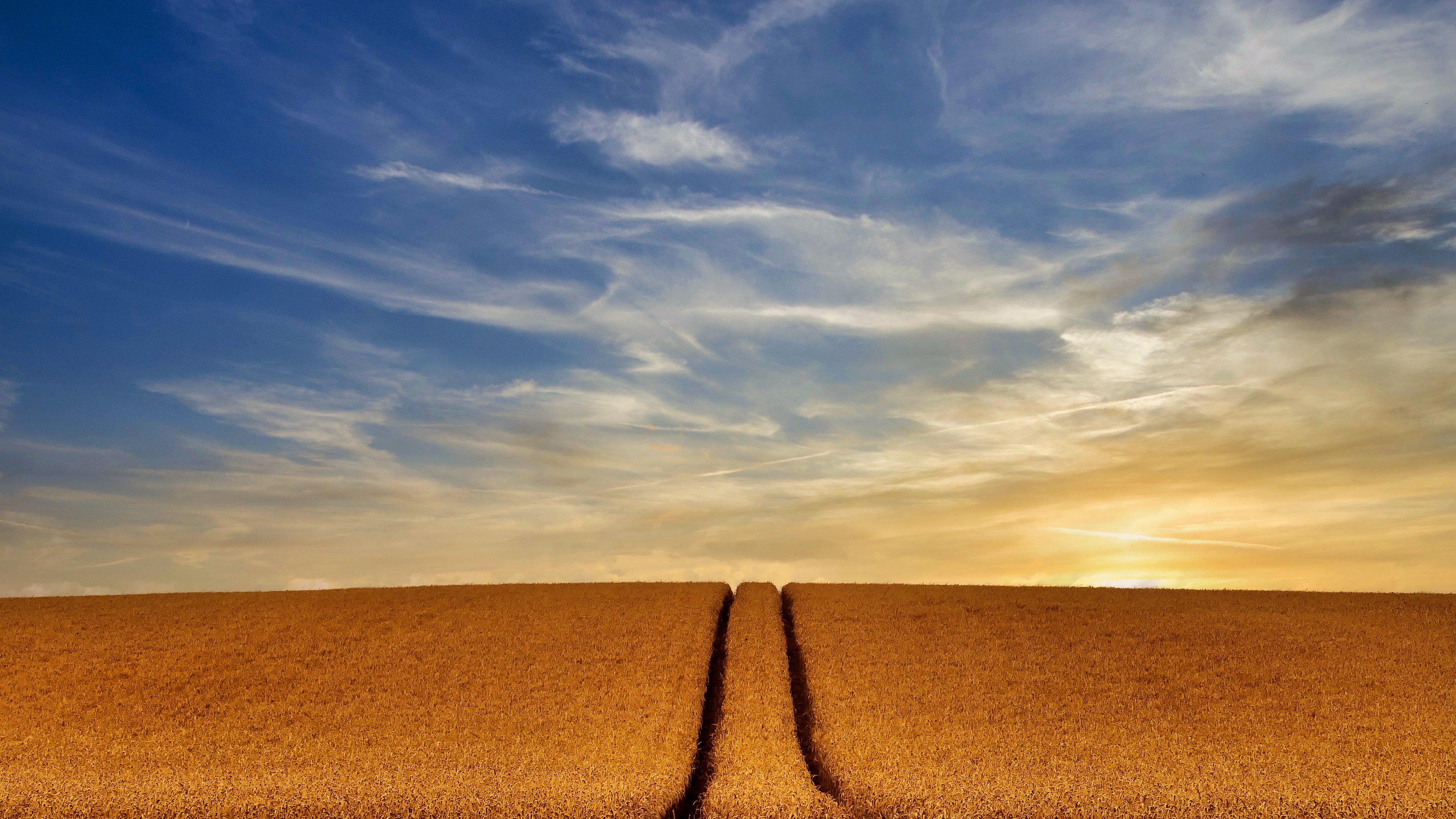 HD desktop wallpaper: Wheat, Earth, Field, Farm download free picture  #1036697