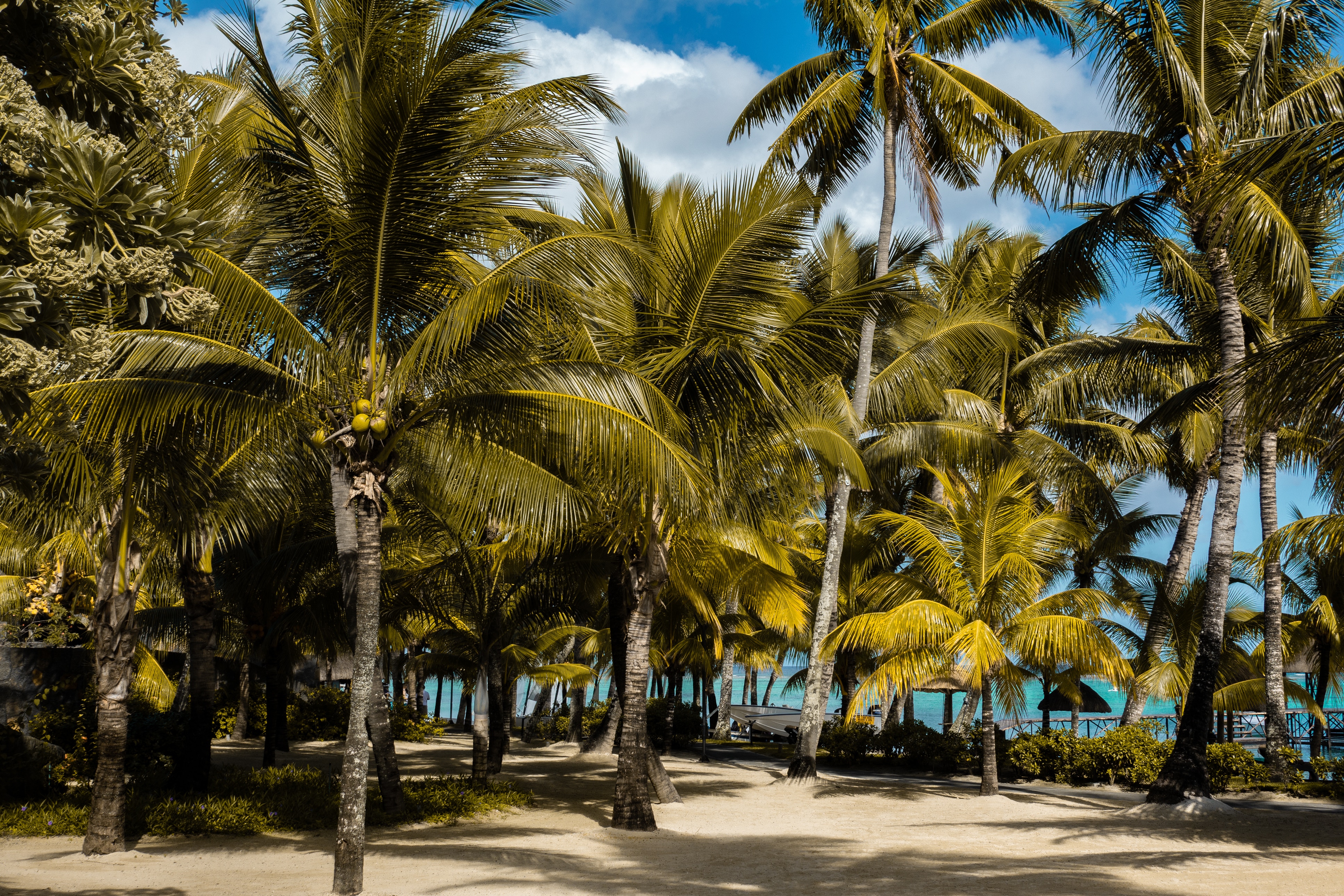 Laden Sie Mauritius HD-Desktop-Hintergründe herunter
