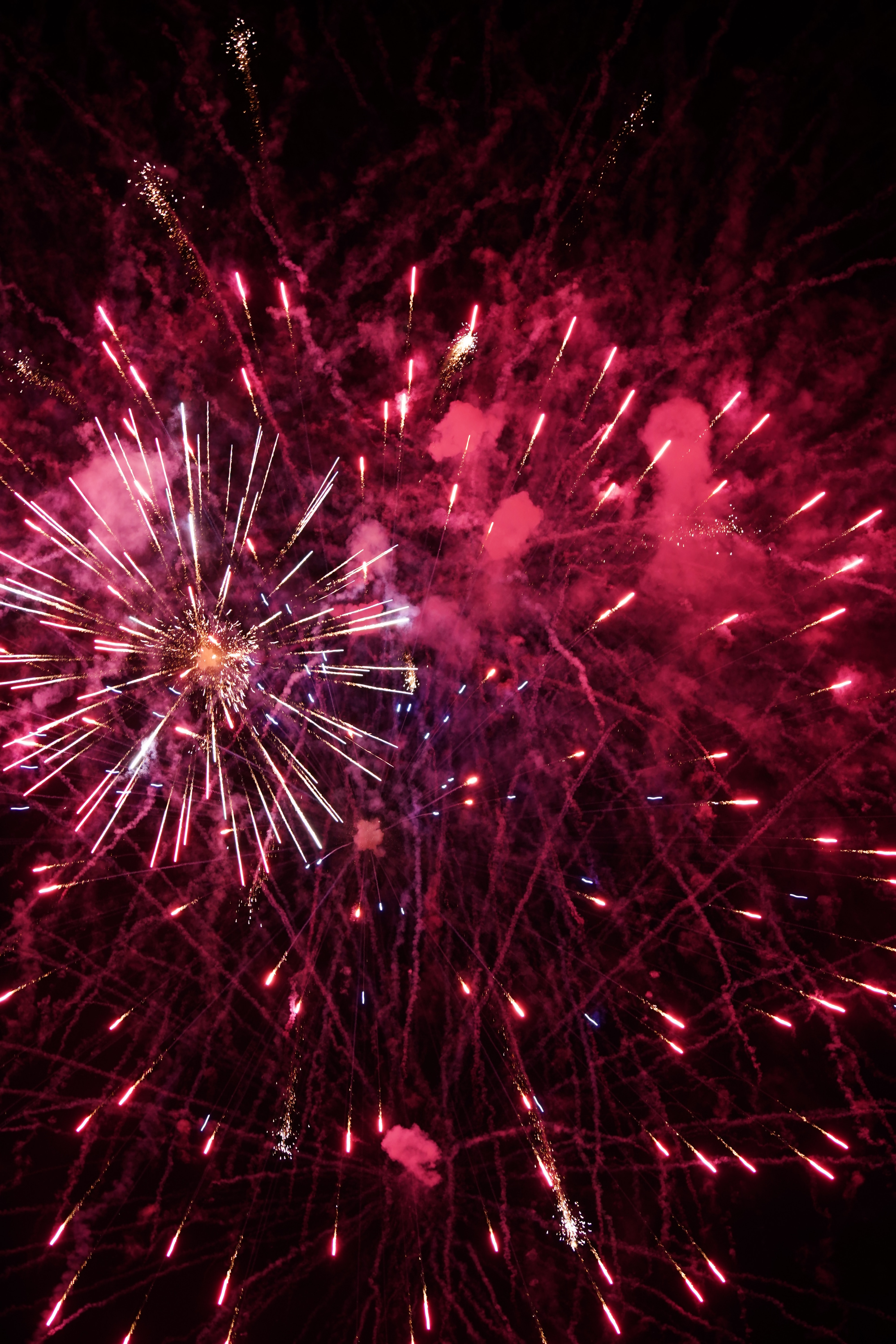 Salute firework, holidays, sparks, bright 4k Wallpaper