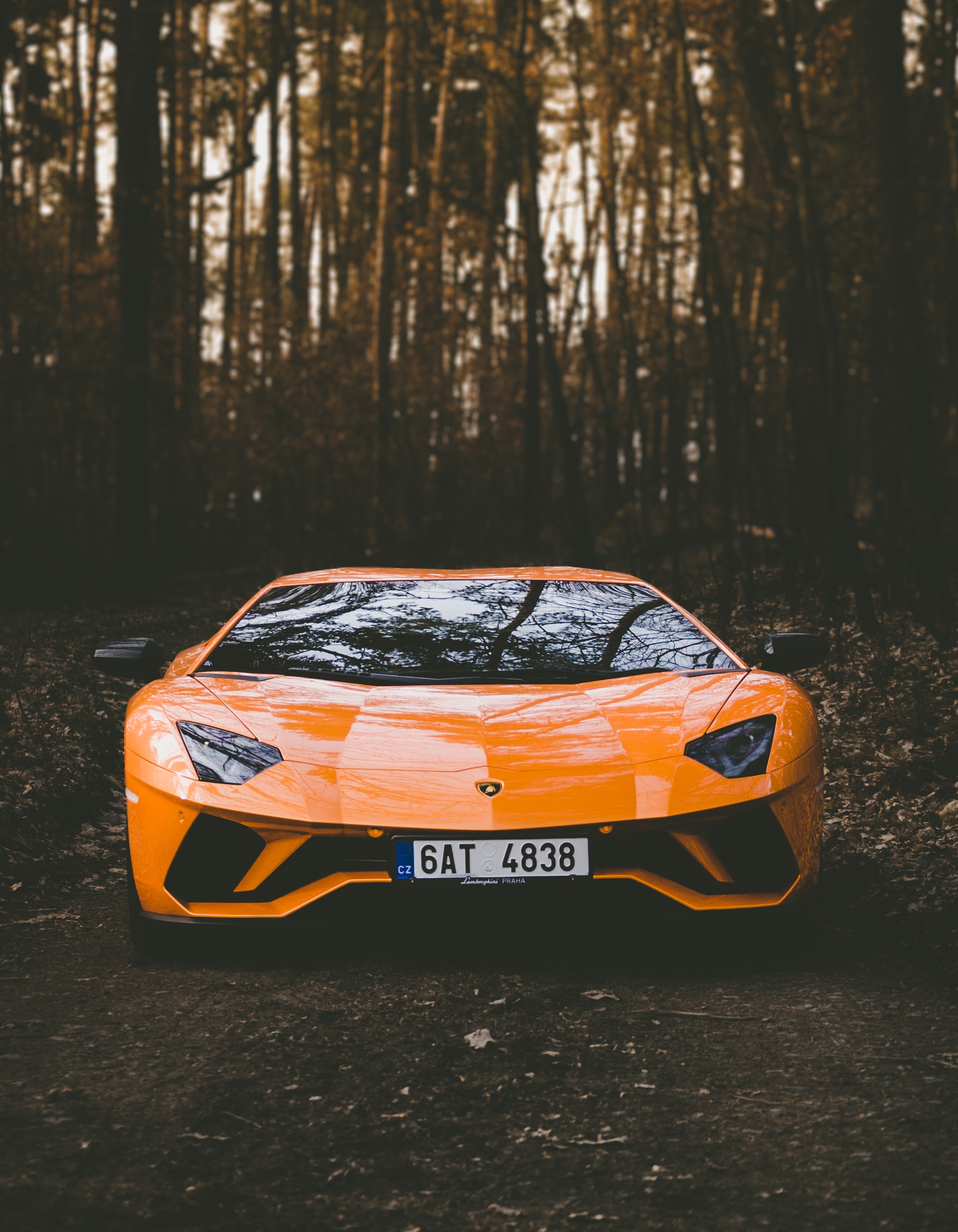 cars, sports car, style, front view, sports, bumper phone background
