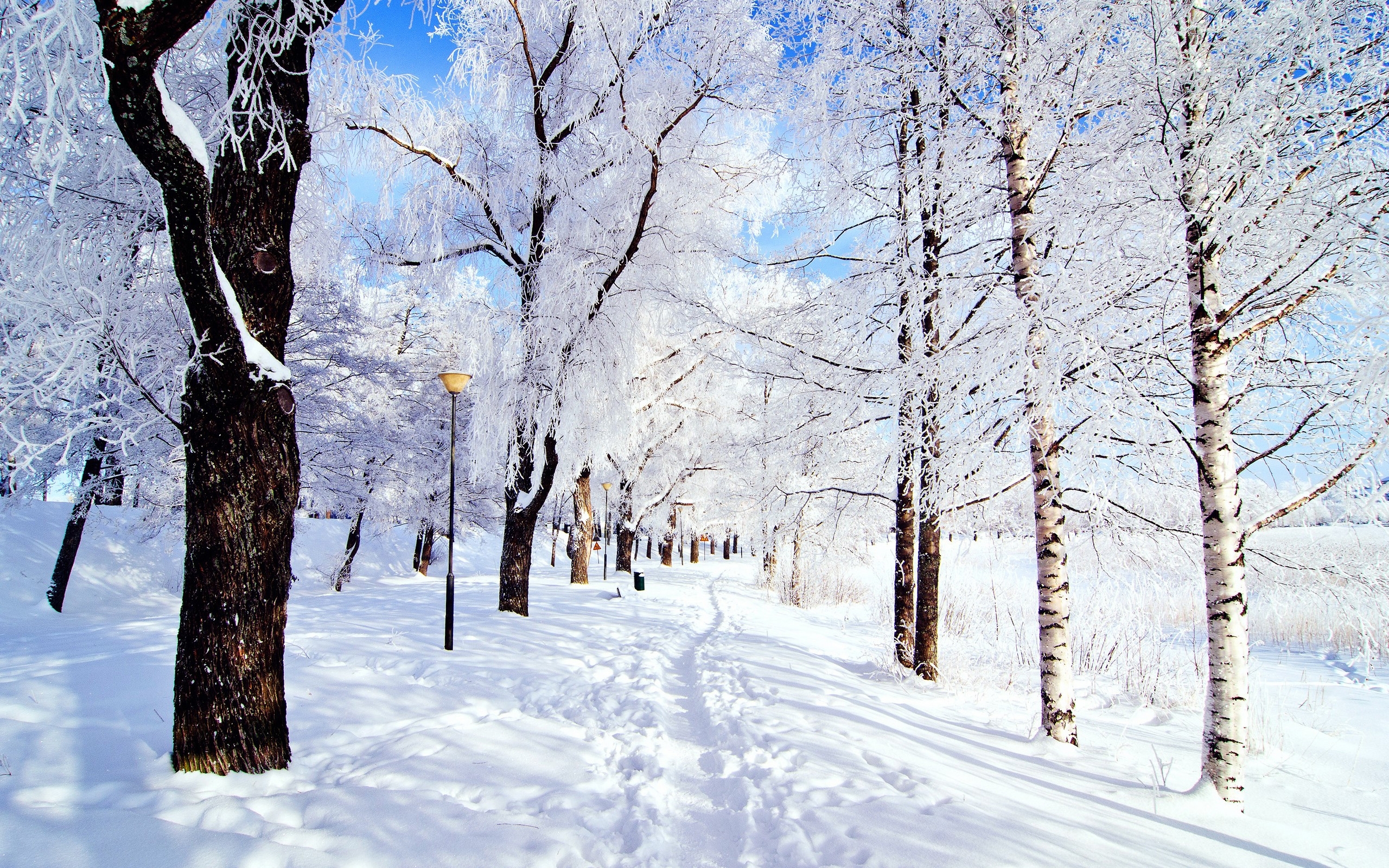 26355 télécharger le fond d'écran paysage, hiver, arbres, routes, neige - économiseurs d'écran et images gratuitement