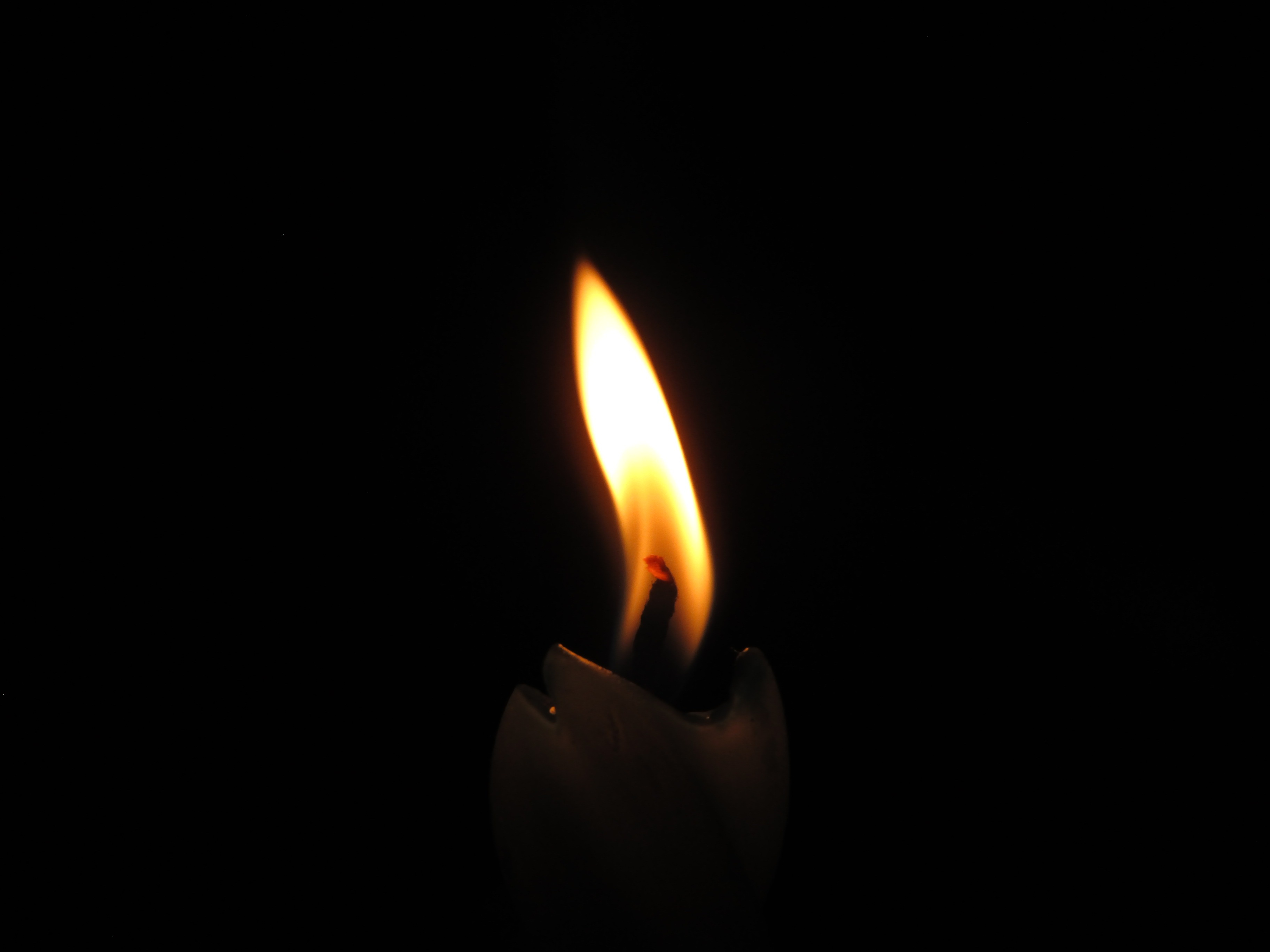 Wax wick, candle, fire, flame Free Stock Photos