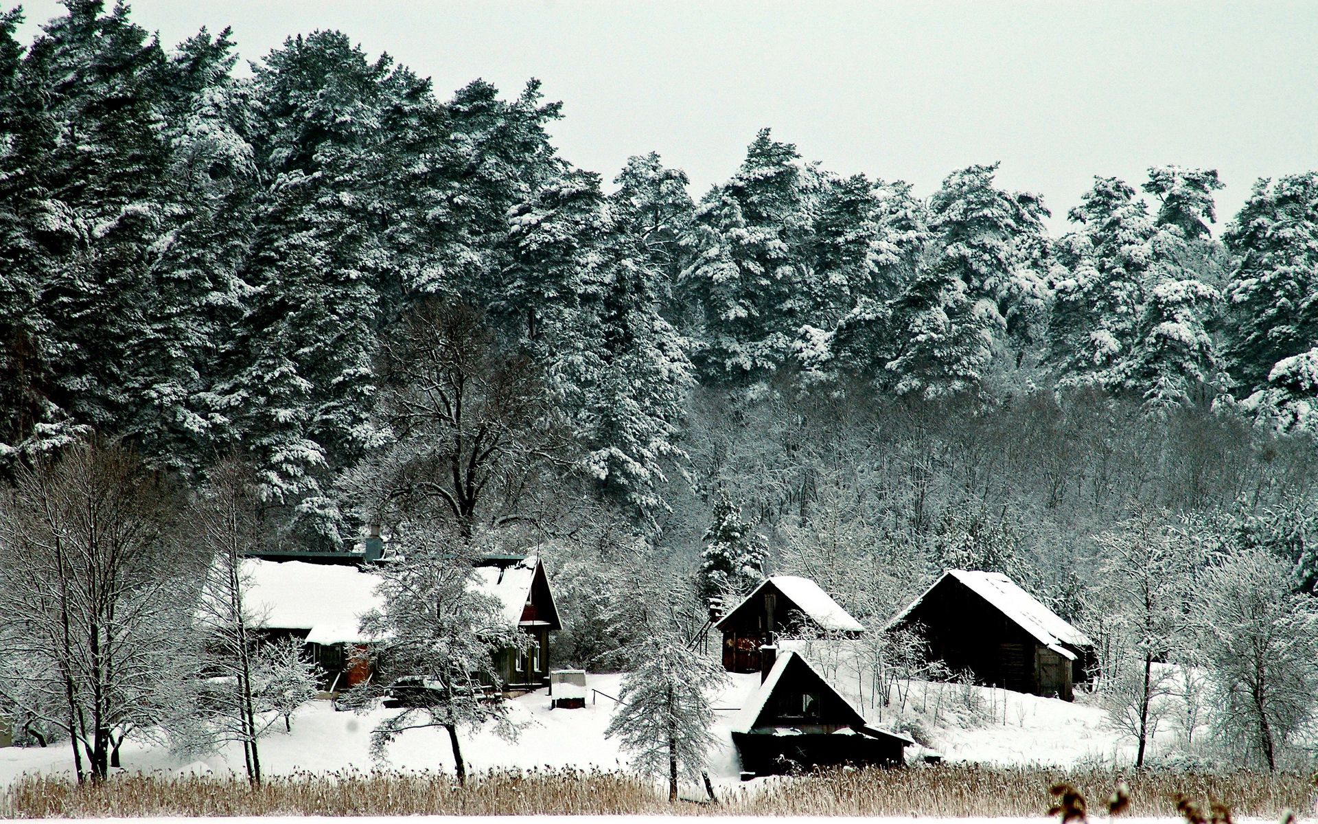 101913 descargar fondo de pantalla nieve, invierno, naturaleza, casas, árboles, poderoso, casas pequeñas: protectores de pantalla e imágenes gratis