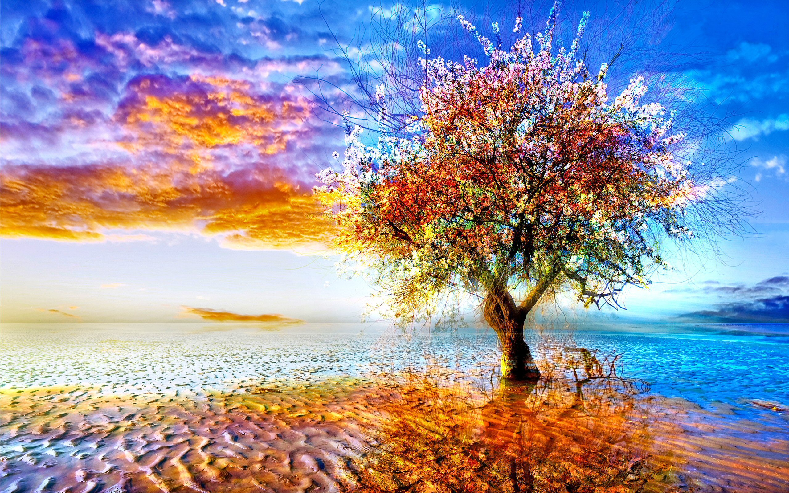 HD desktop wallpaper: Trees, Reflection, Tree, Earth, Colorful, Blossom, Lonely  Tree download free picture #271362