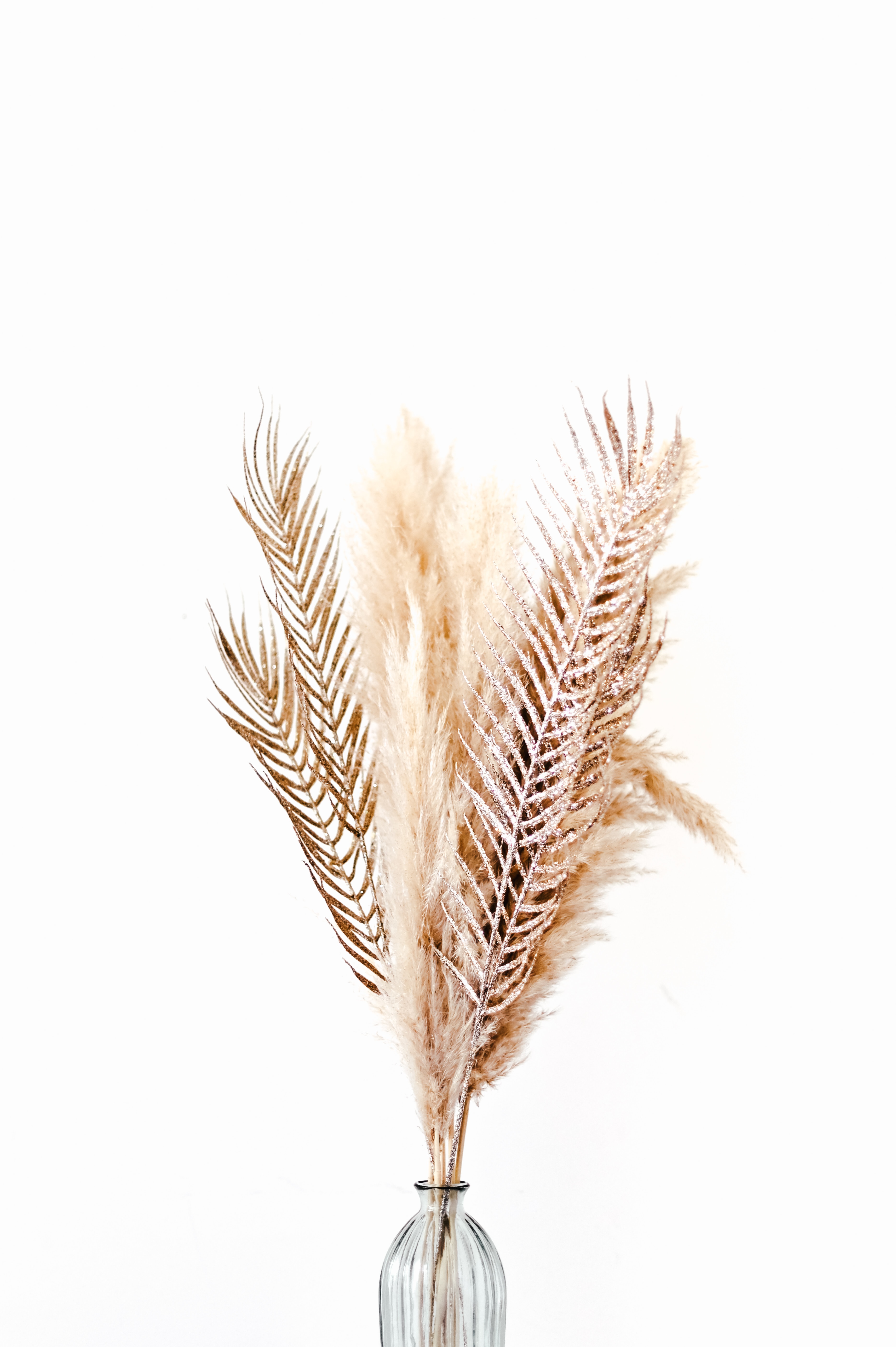 minimalism, feather, bouquet, vase wallpapers for tablet