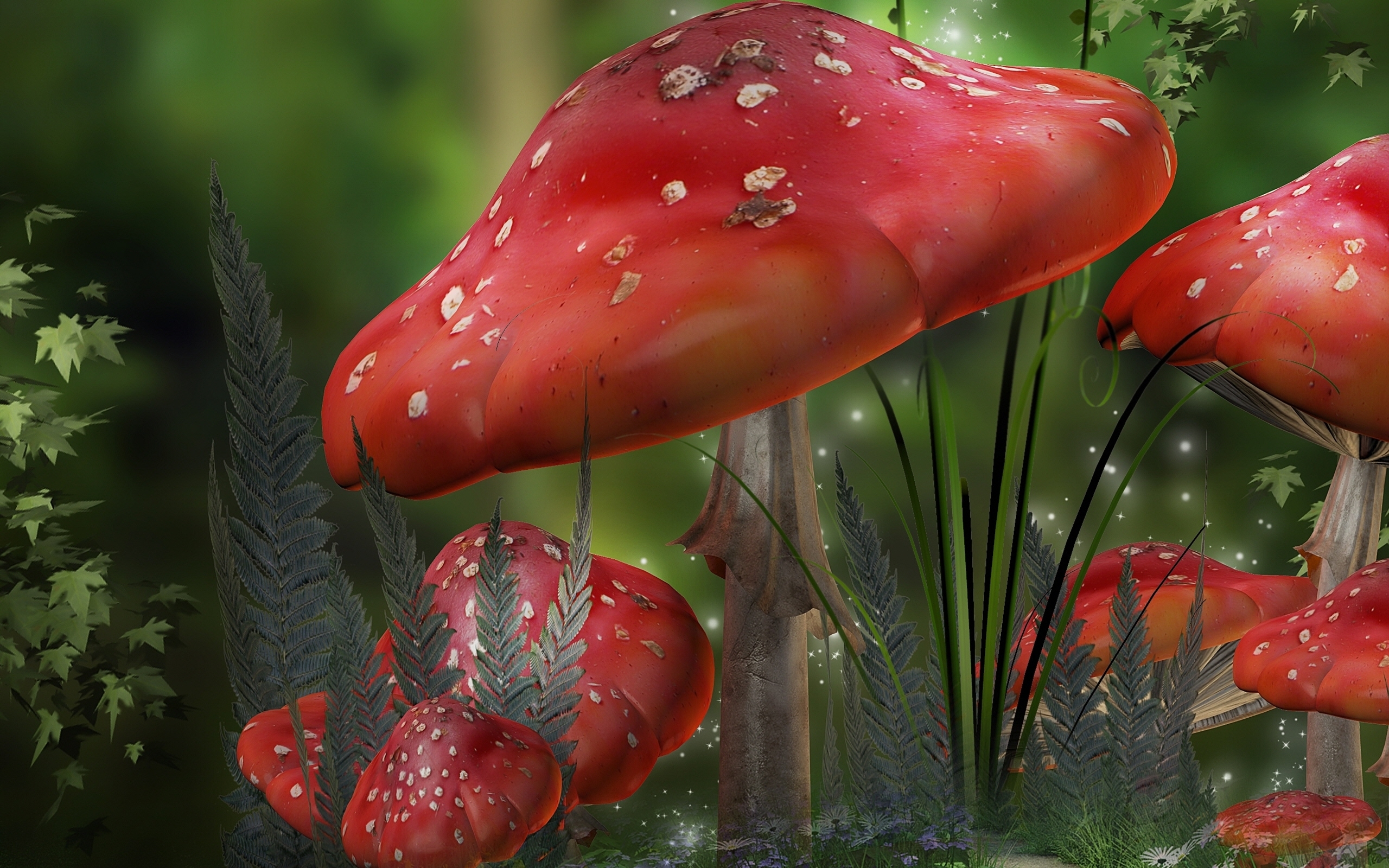 免費壁紙42478：蘑菇, 红色, 图片 下載手機圖片