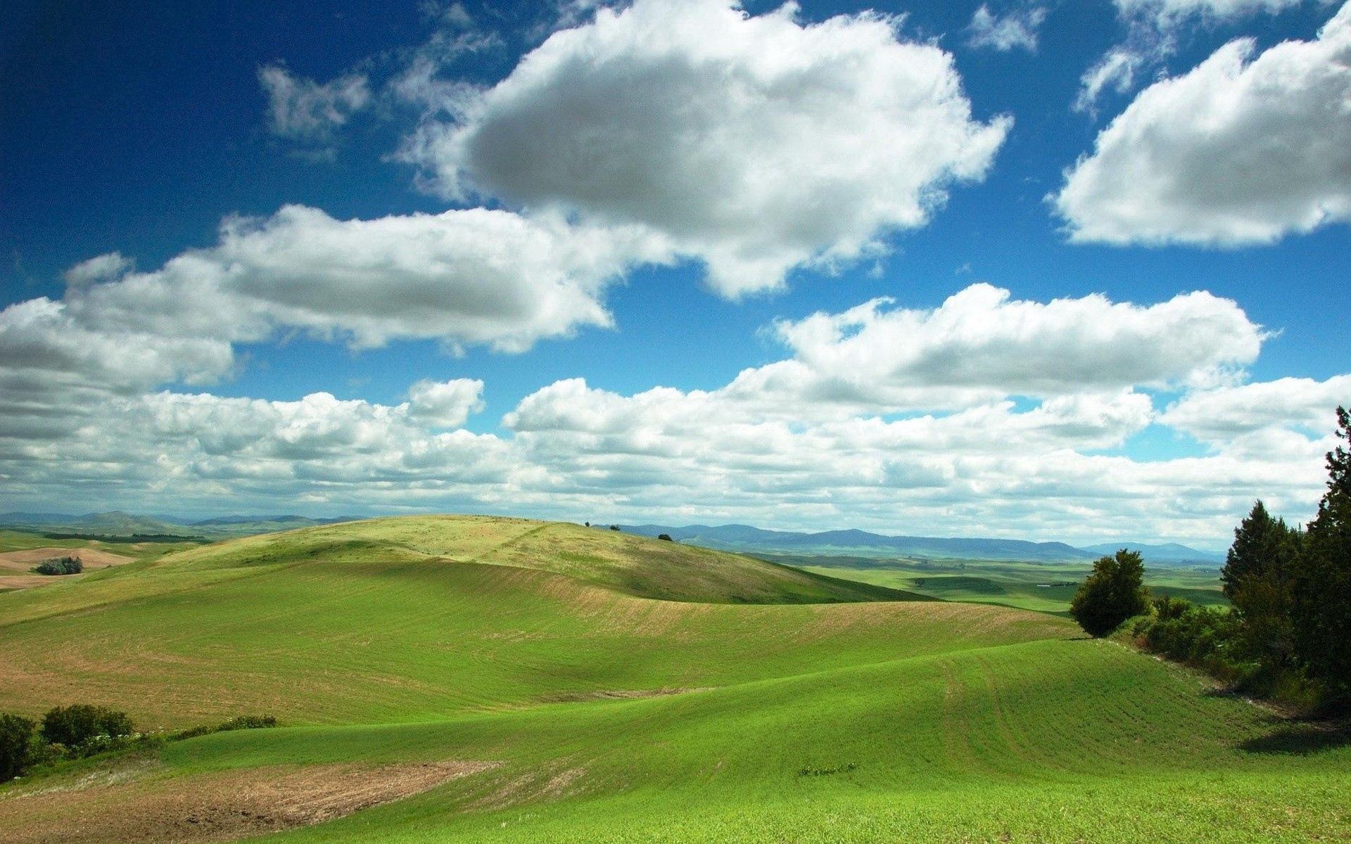 plain, calmness, nature, fields, clouds, greens, tranquillity