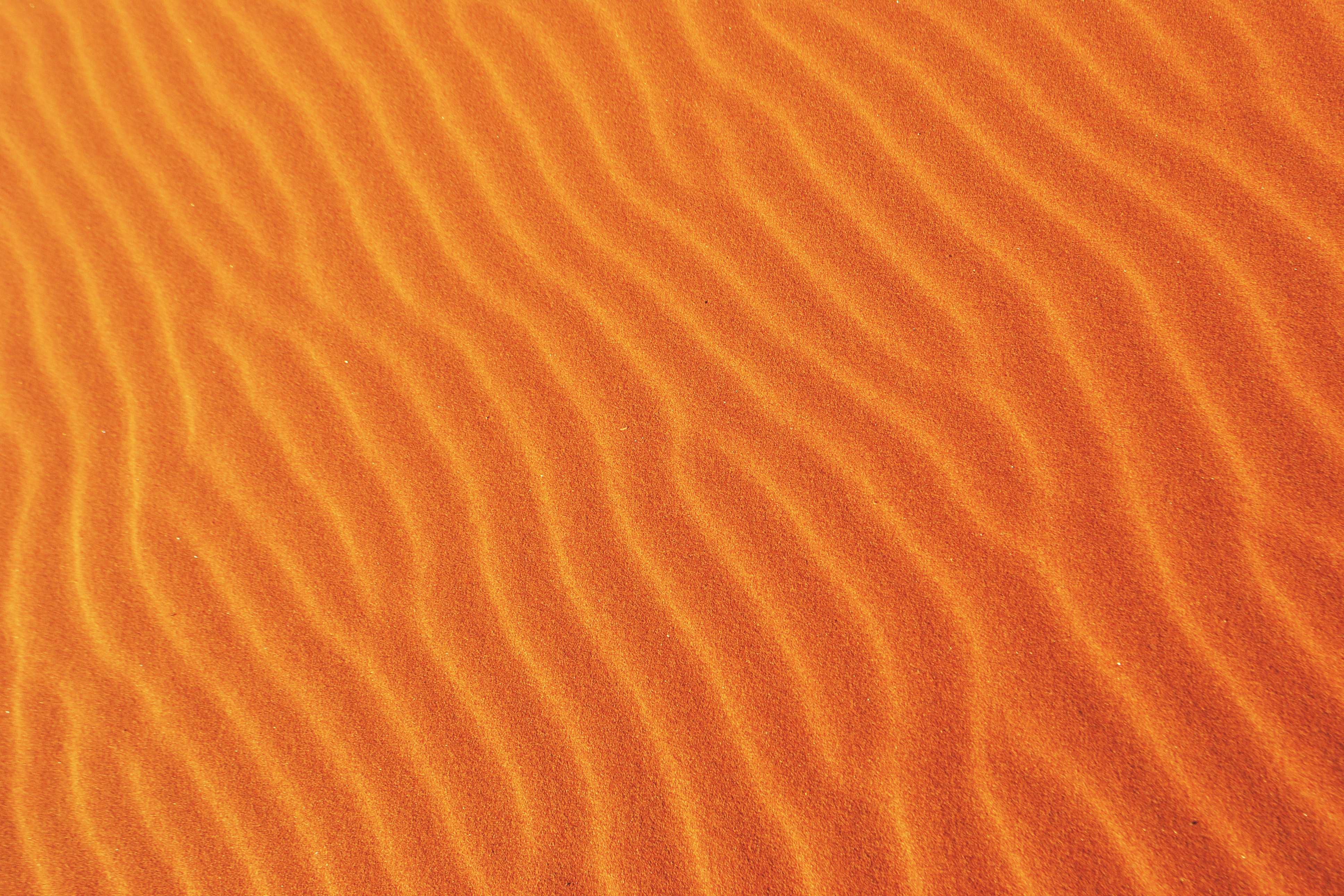 Orange 4K Wallpaper