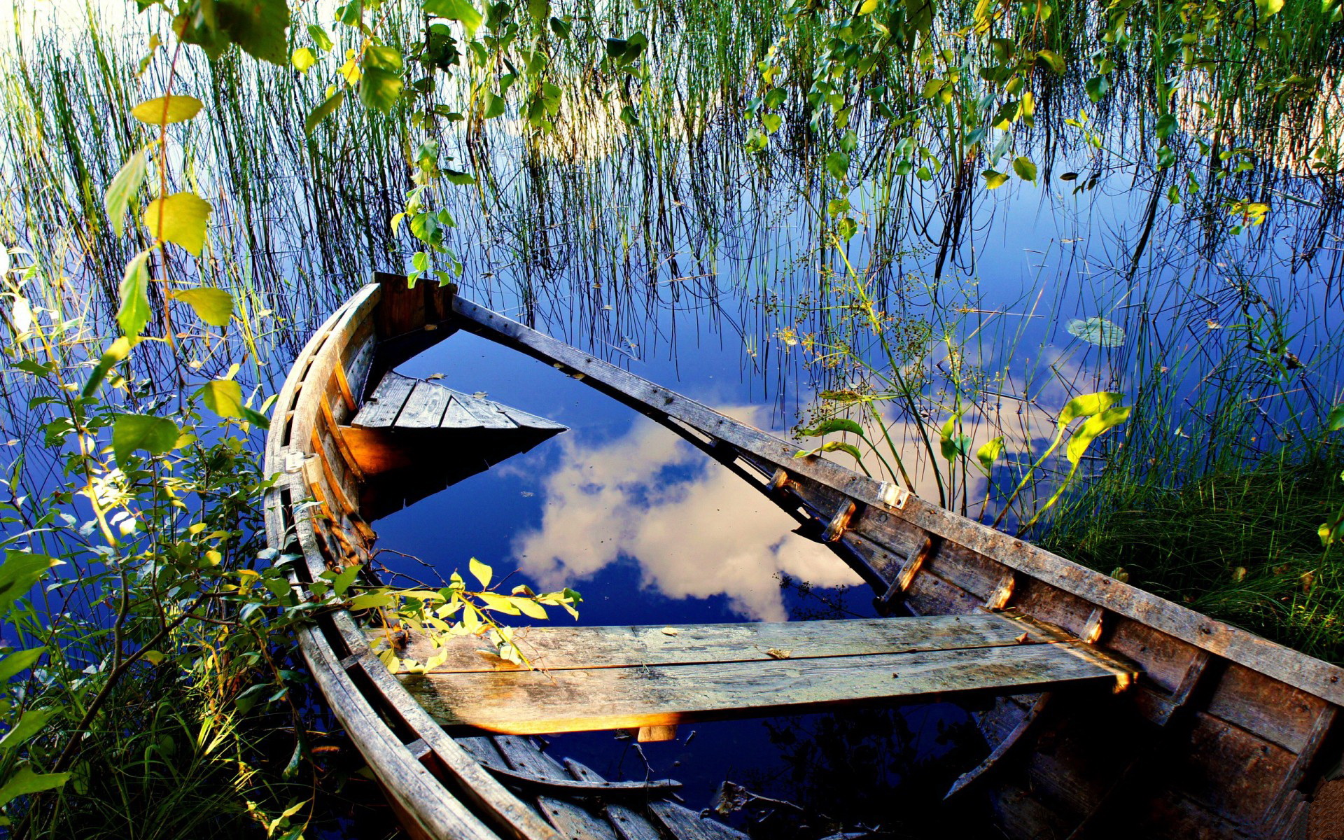 На реке на озере работал. Лодка. Лодка в камышах. Лодка на пруду. Деревянные мостки на реке.