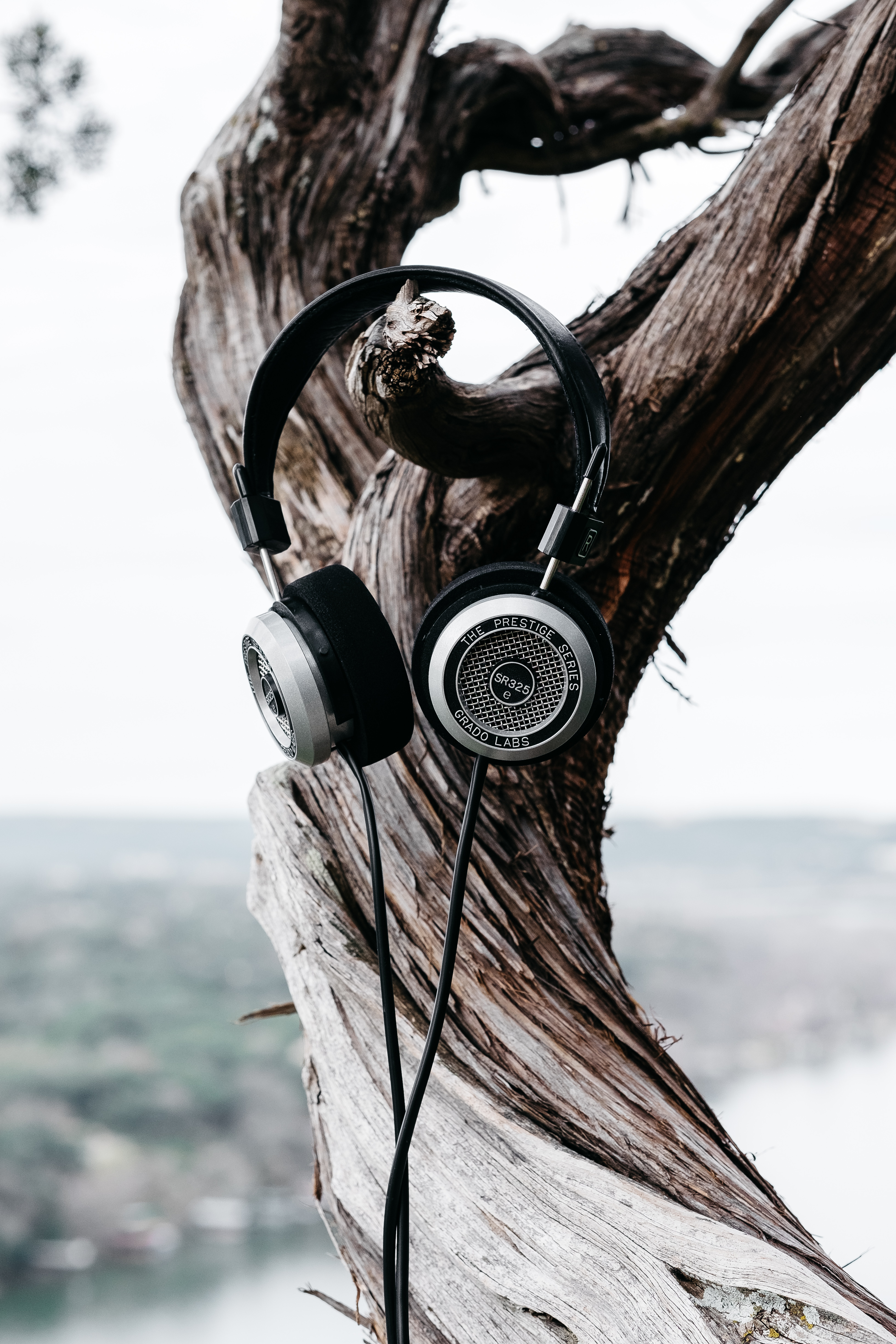 headphones, music, wood, tree, bark, trunk