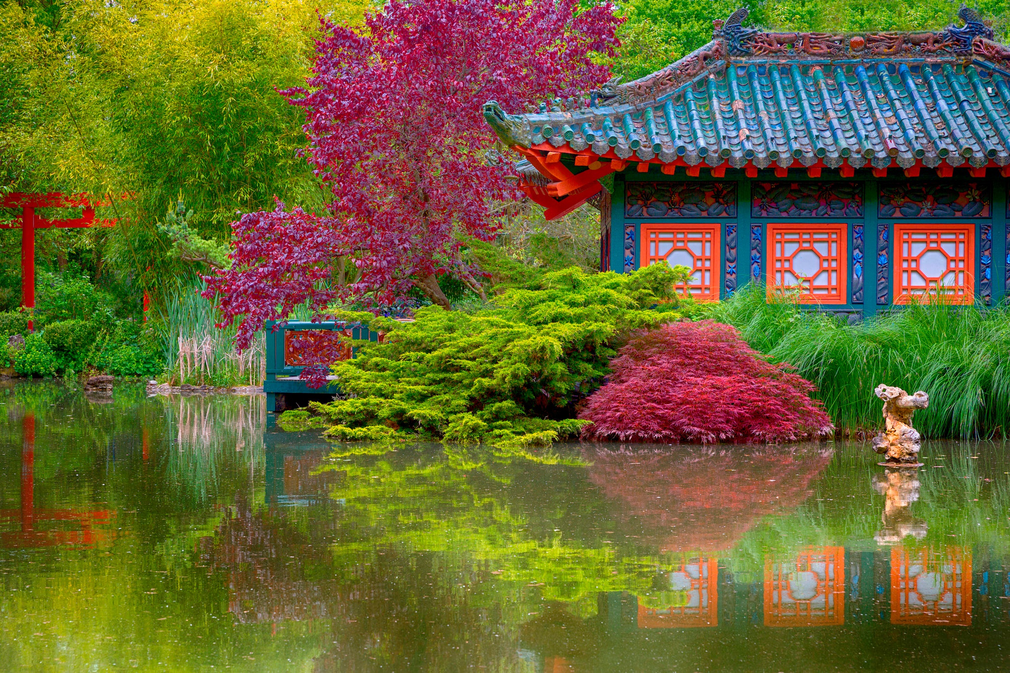 man made, japanese garden, colorful, lodge, pond, tree