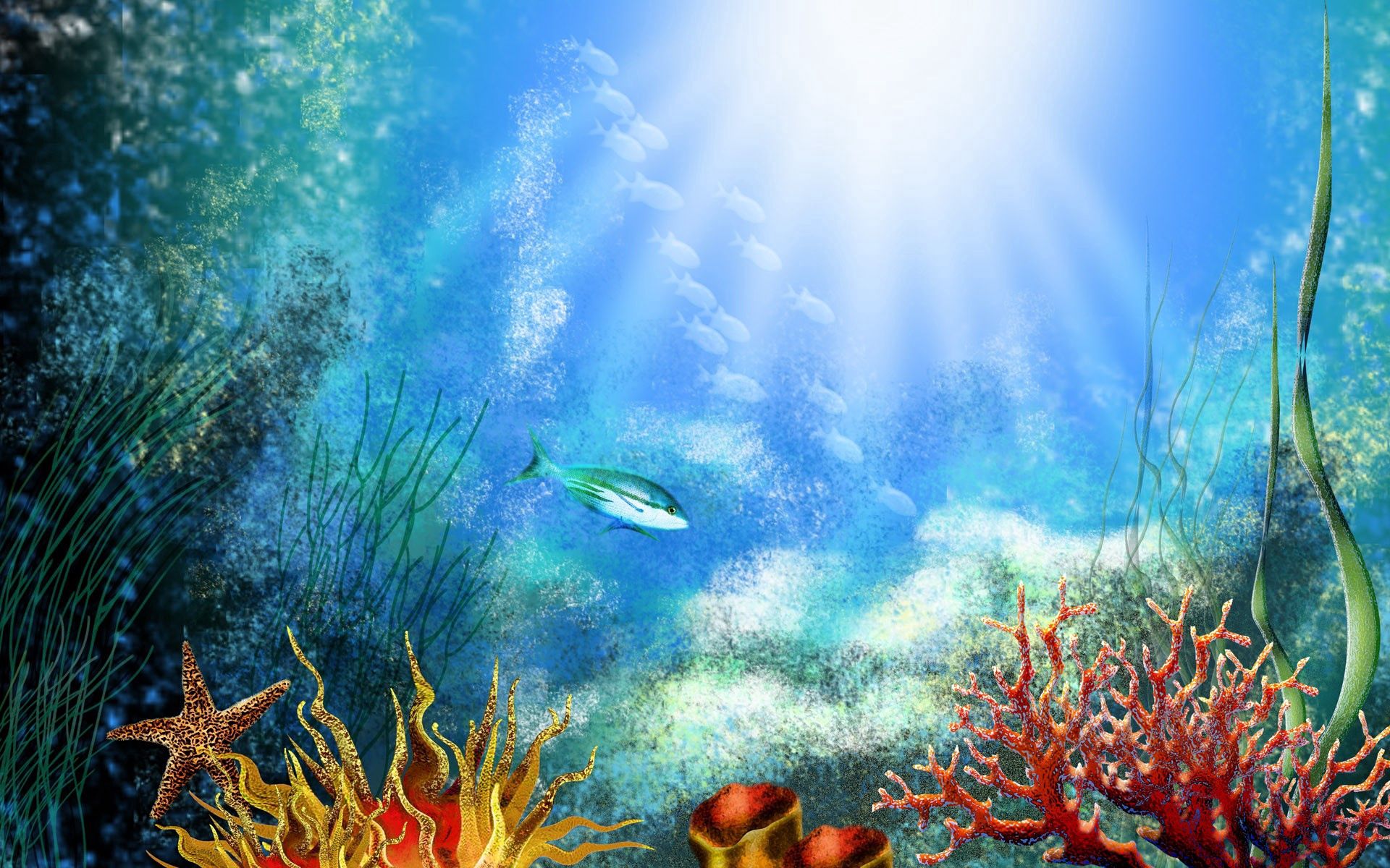 fish, under water, underwater, shine Windows Mobile Wallpaper