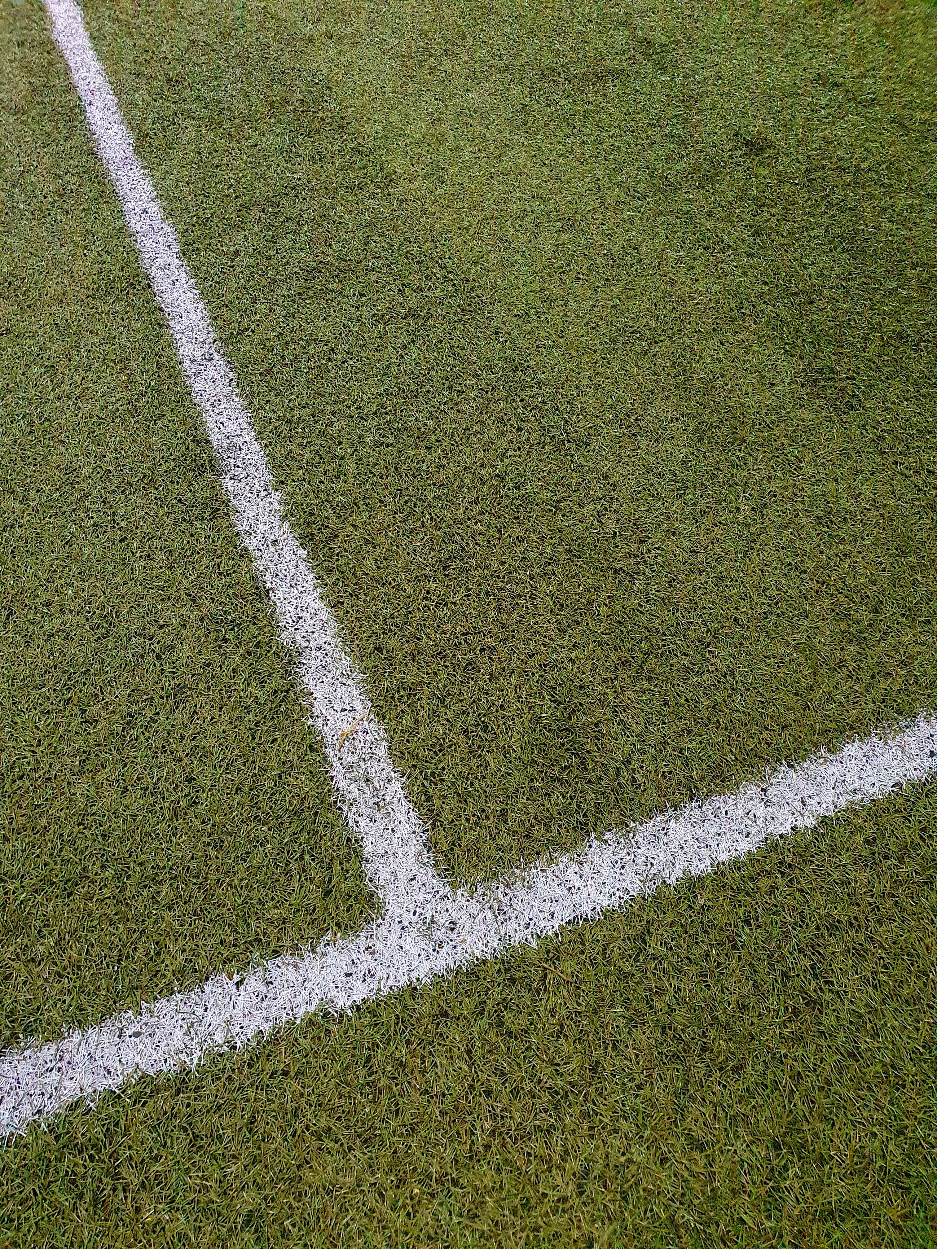 grass, miscellanea, miscellaneous, markup, field, stadium HD wallpaper