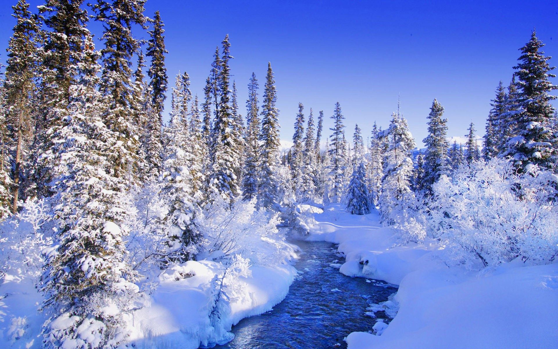 bush, rivers, trees, snow HD Mobile