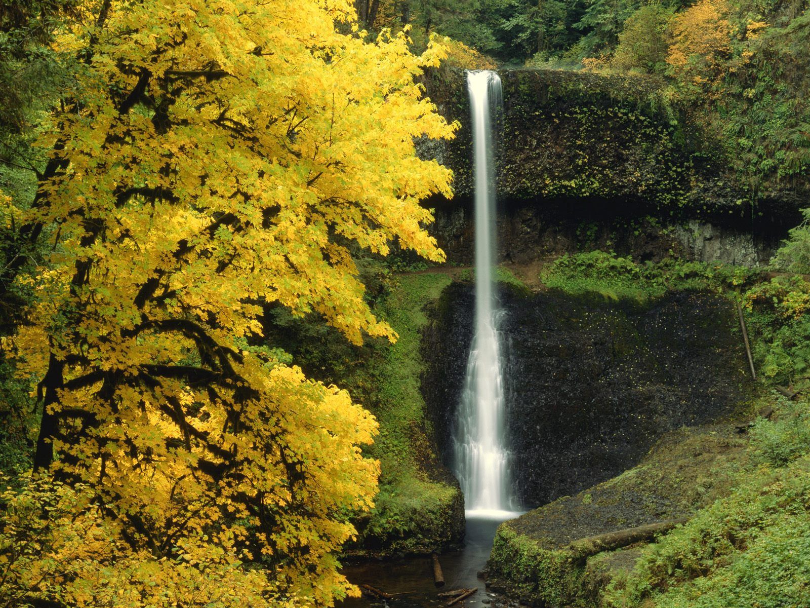 Handy-Wallpaper Natur, Flüsse, Herbst, Wasserfall, Fließen, Fluss kostenlos herunterladen.