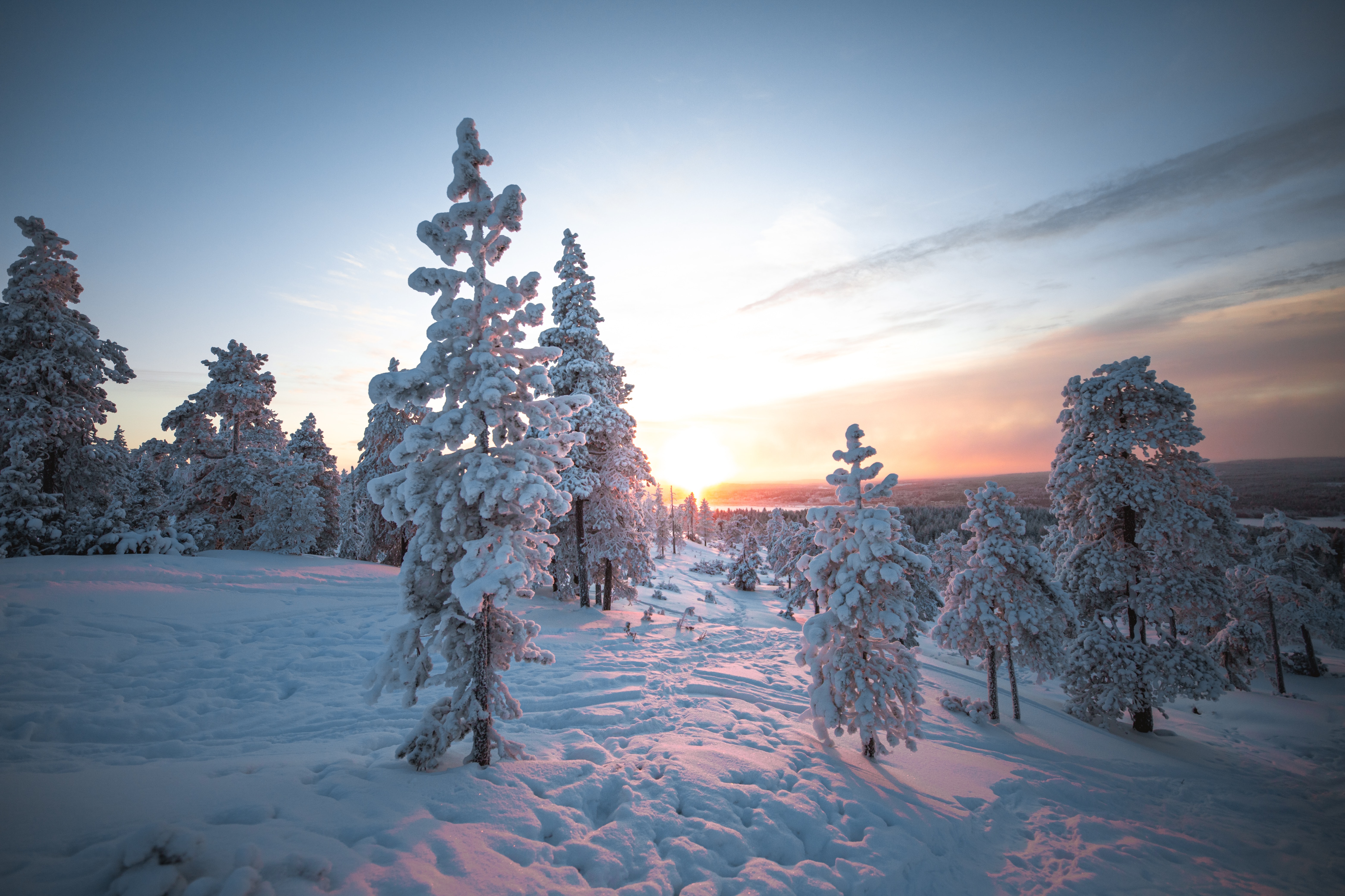 snow, winter, sunset, trees, nature