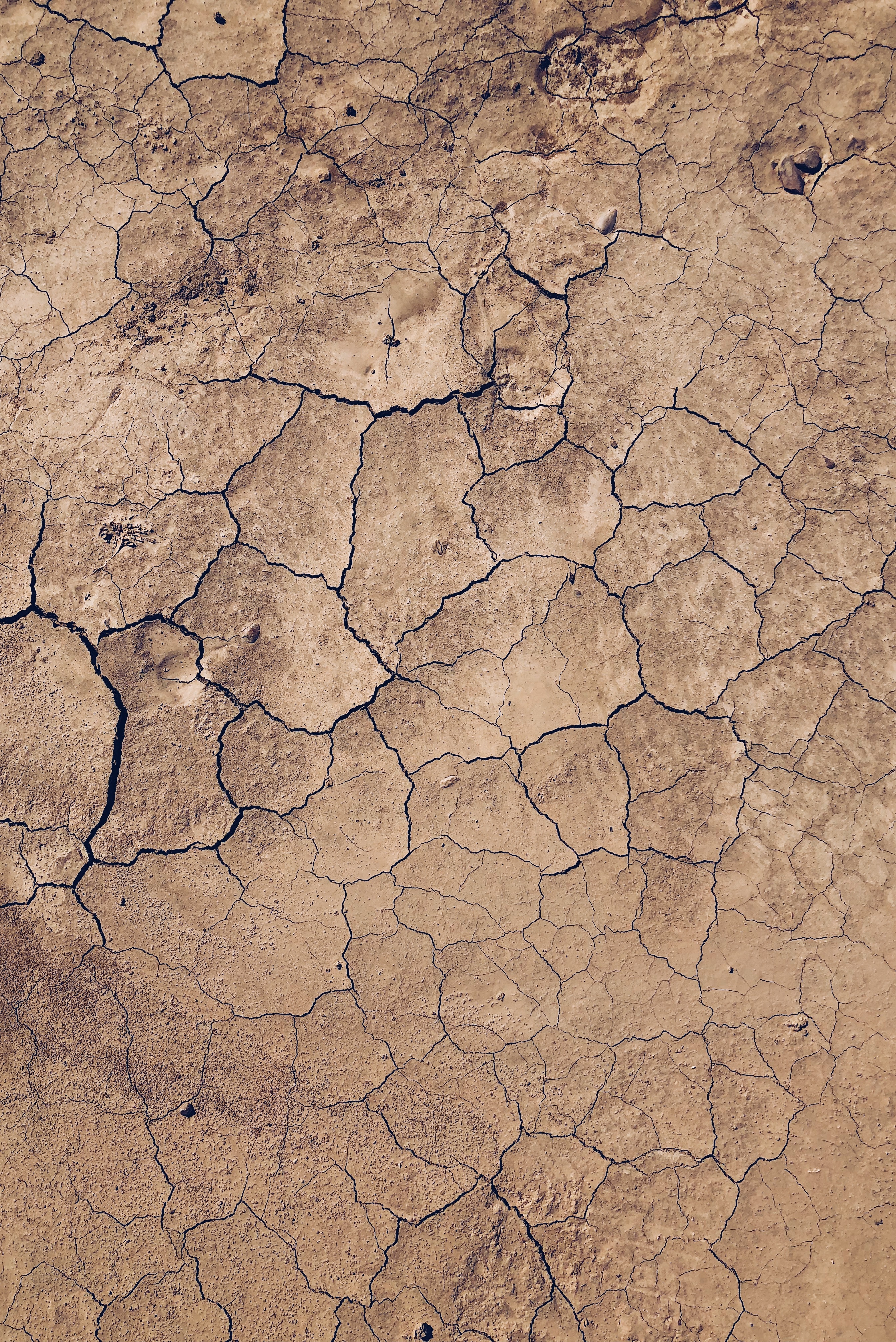 dryness, cracks, texture, desert Crack HD Android Wallpapers