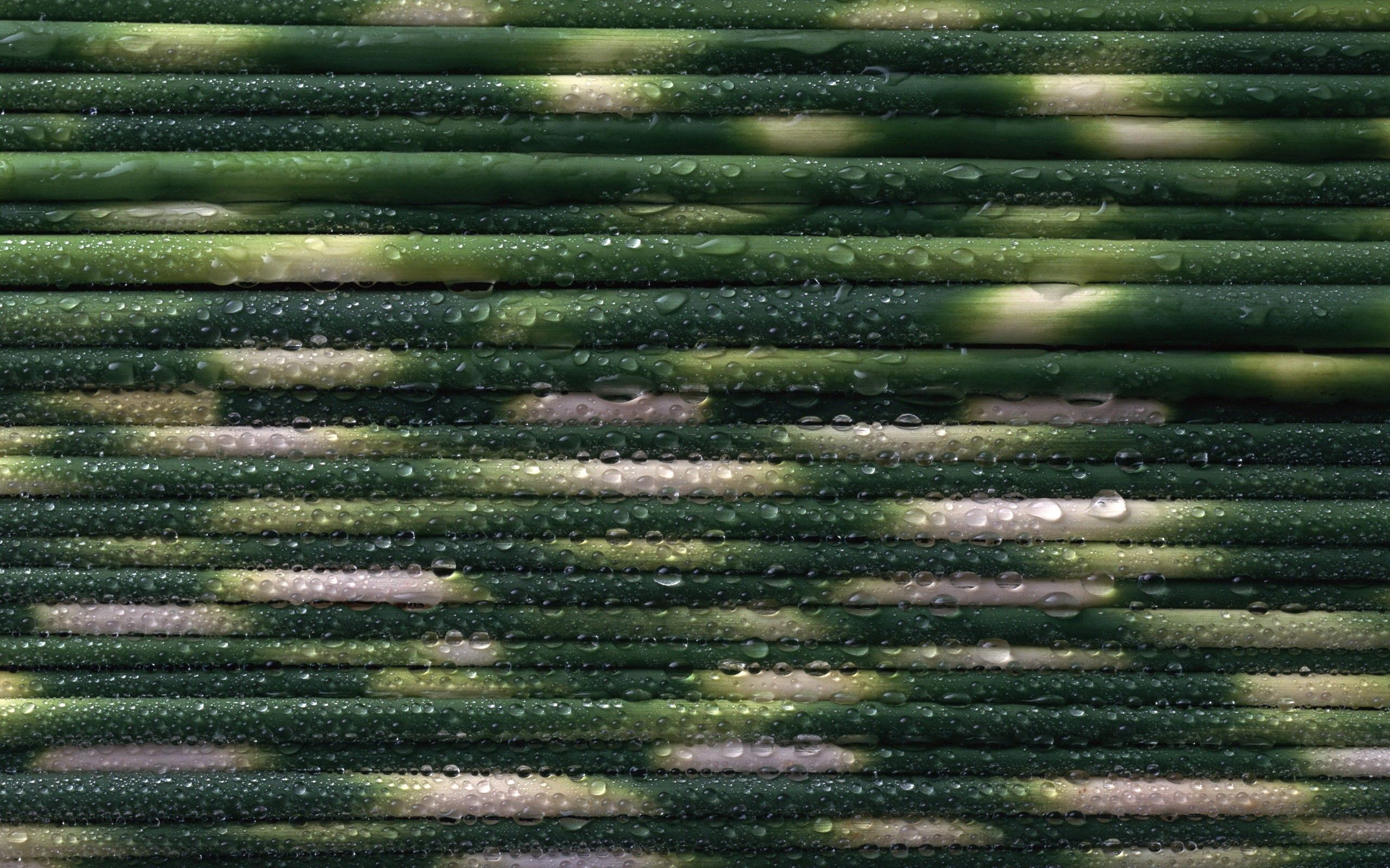 Mobile Wallpaper Thread surface, textures, texture, green