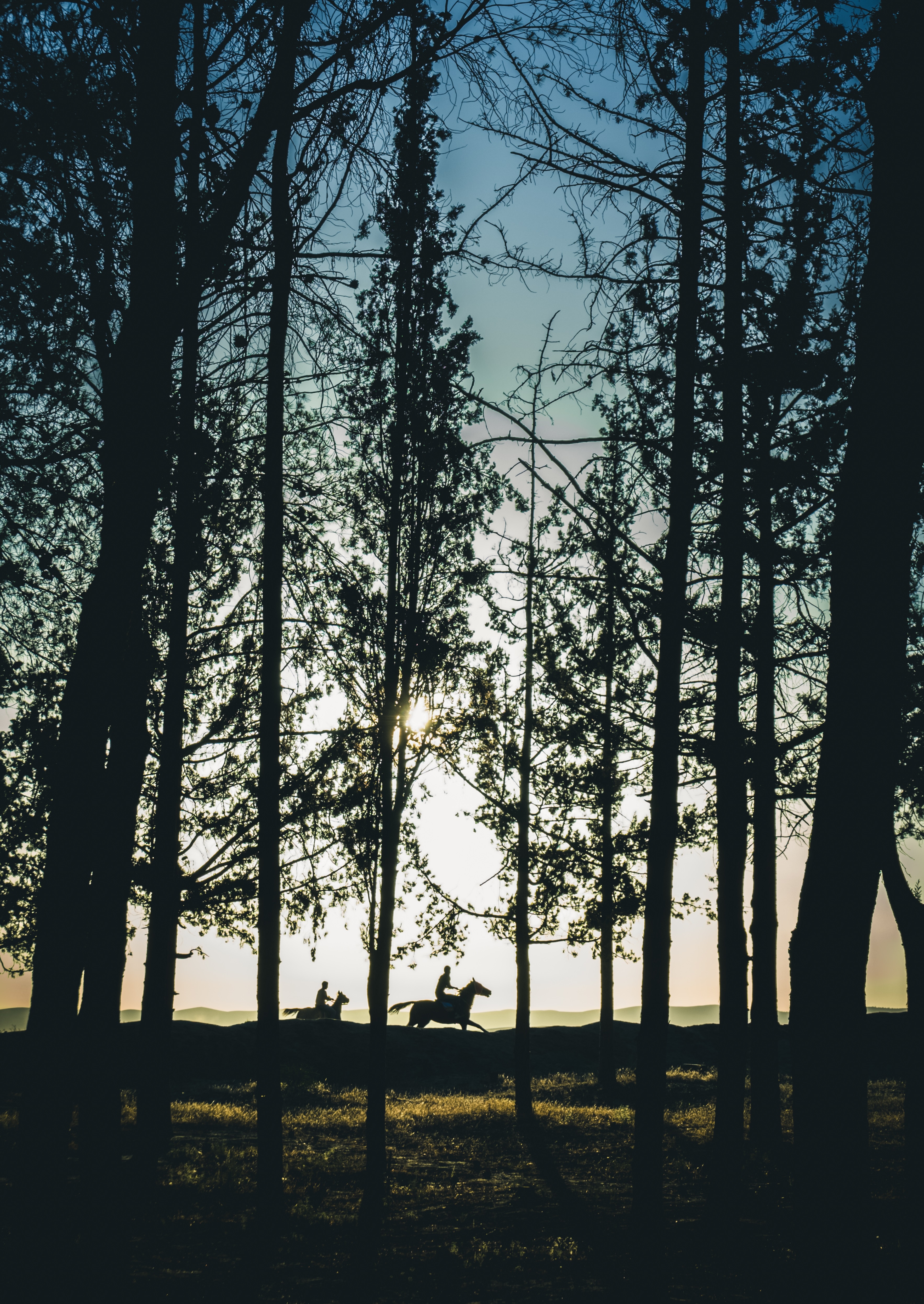 horses, landscape, nature, trees, sunset, forest, silhouettes, riders mobile wallpaper