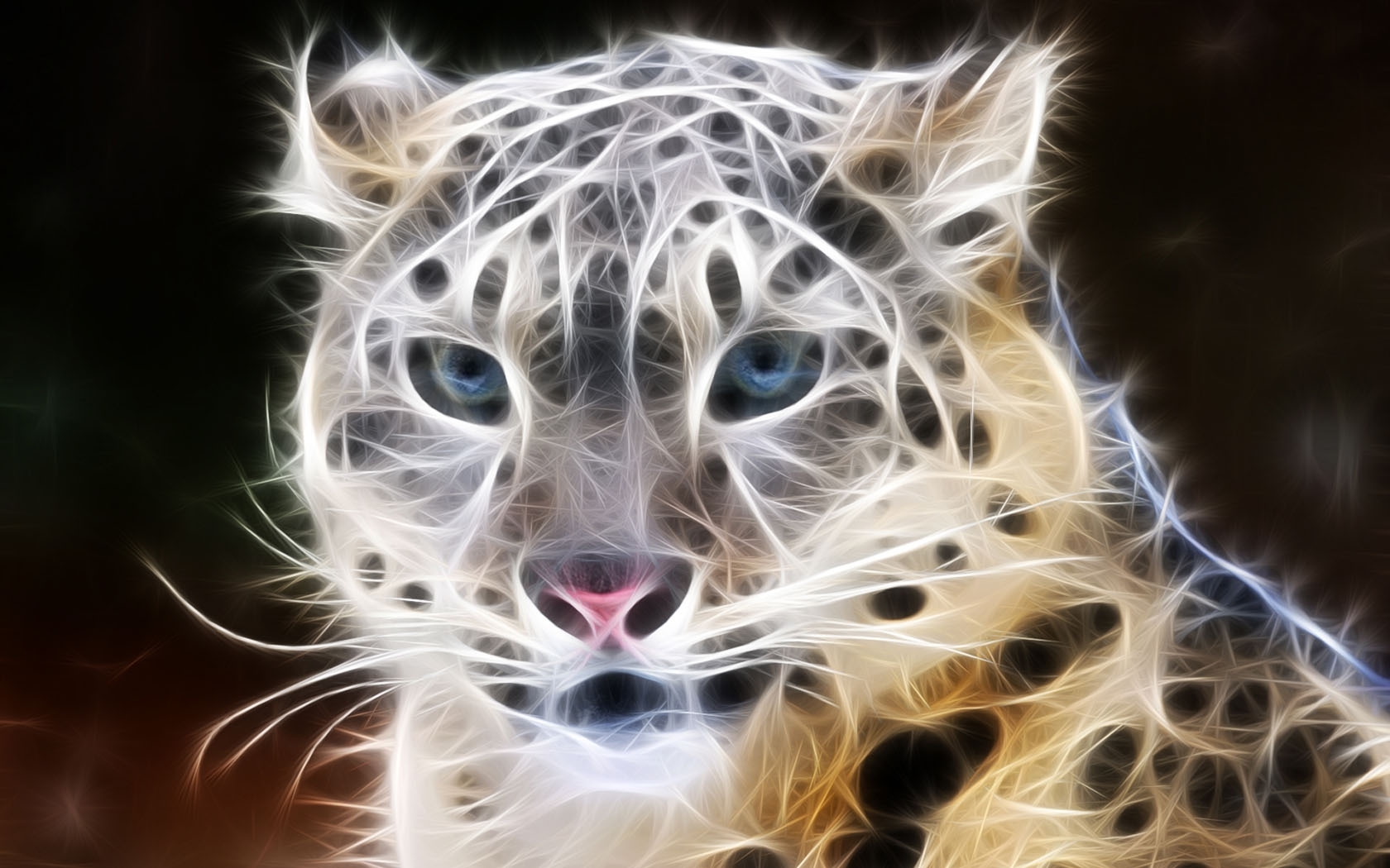 5173 Bild herunterladen tiere, leopards, grau - Hintergrundbilder und Bildschirmschoner kostenlos
