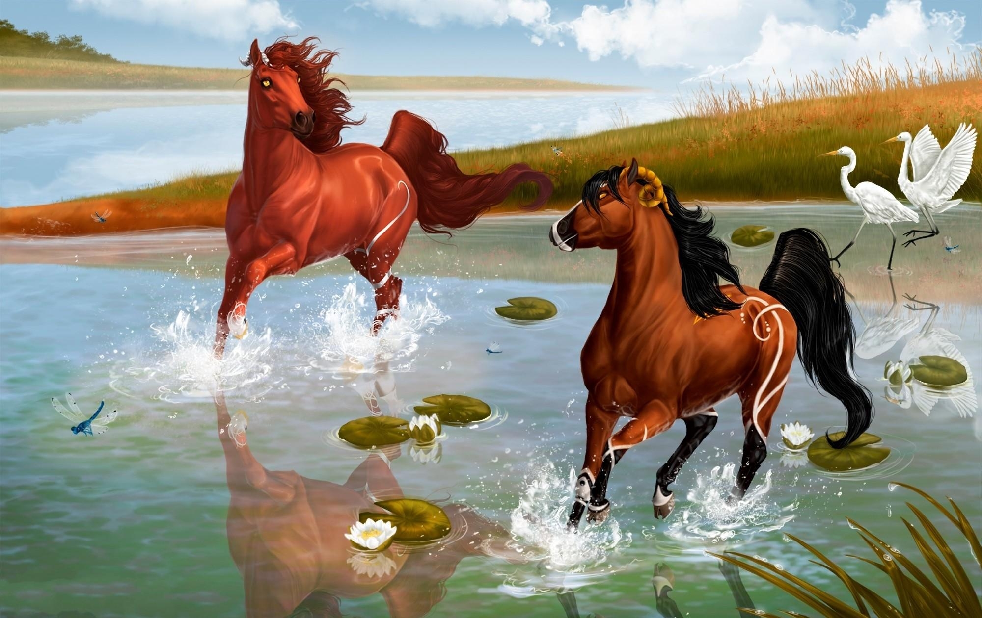 horses, pond, water, fantasy, heron, couple, pair, spray, game