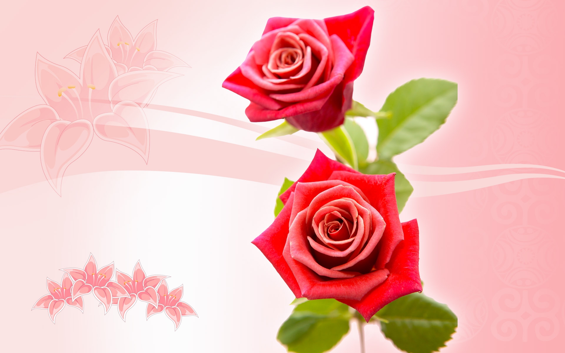 34463 Salvapantallas y fondos de pantalla Roses en tu teléfono. Descarga imágenes de plantas, rojo, flores, fondo gratis