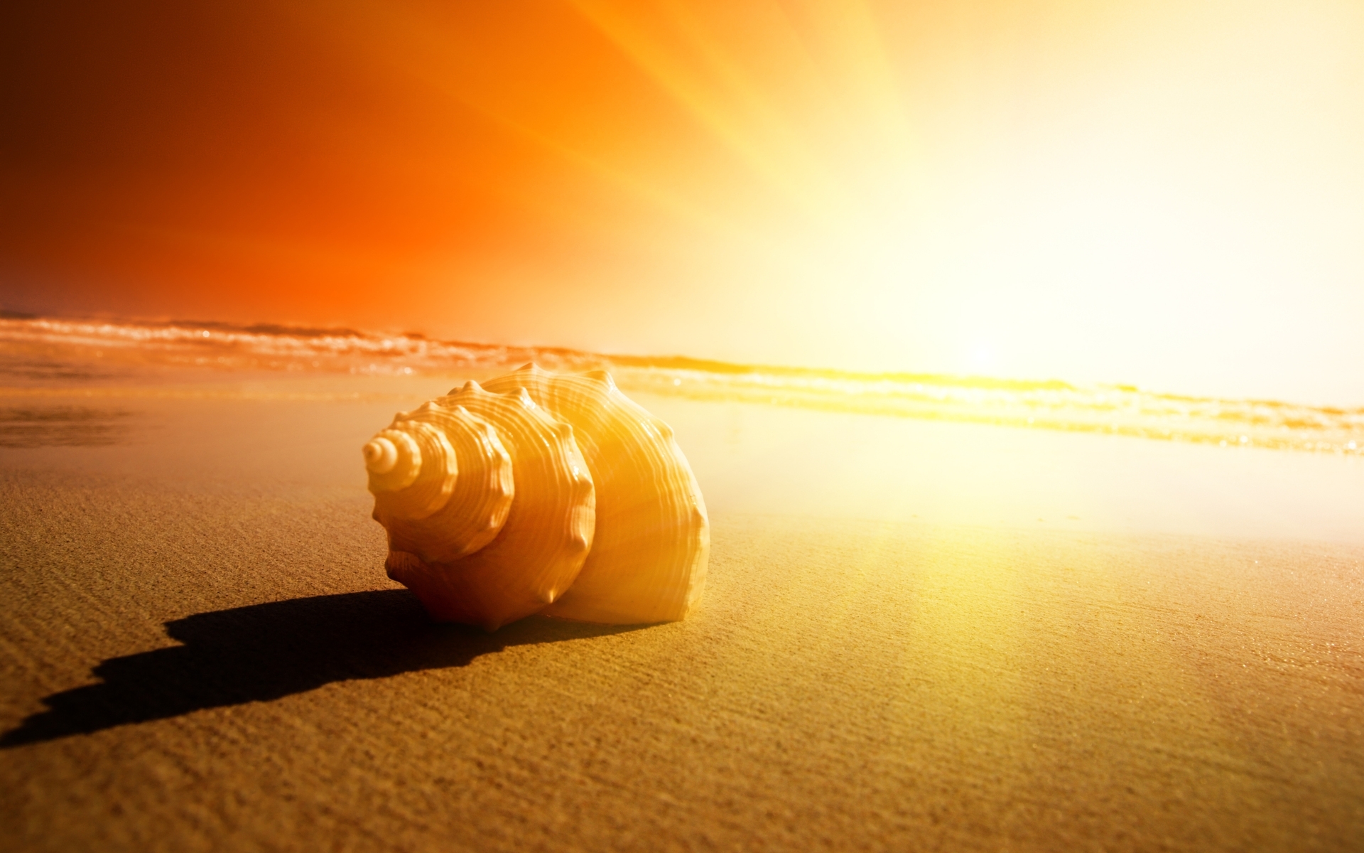 landscape, orange Shells HD Android Wallpapers