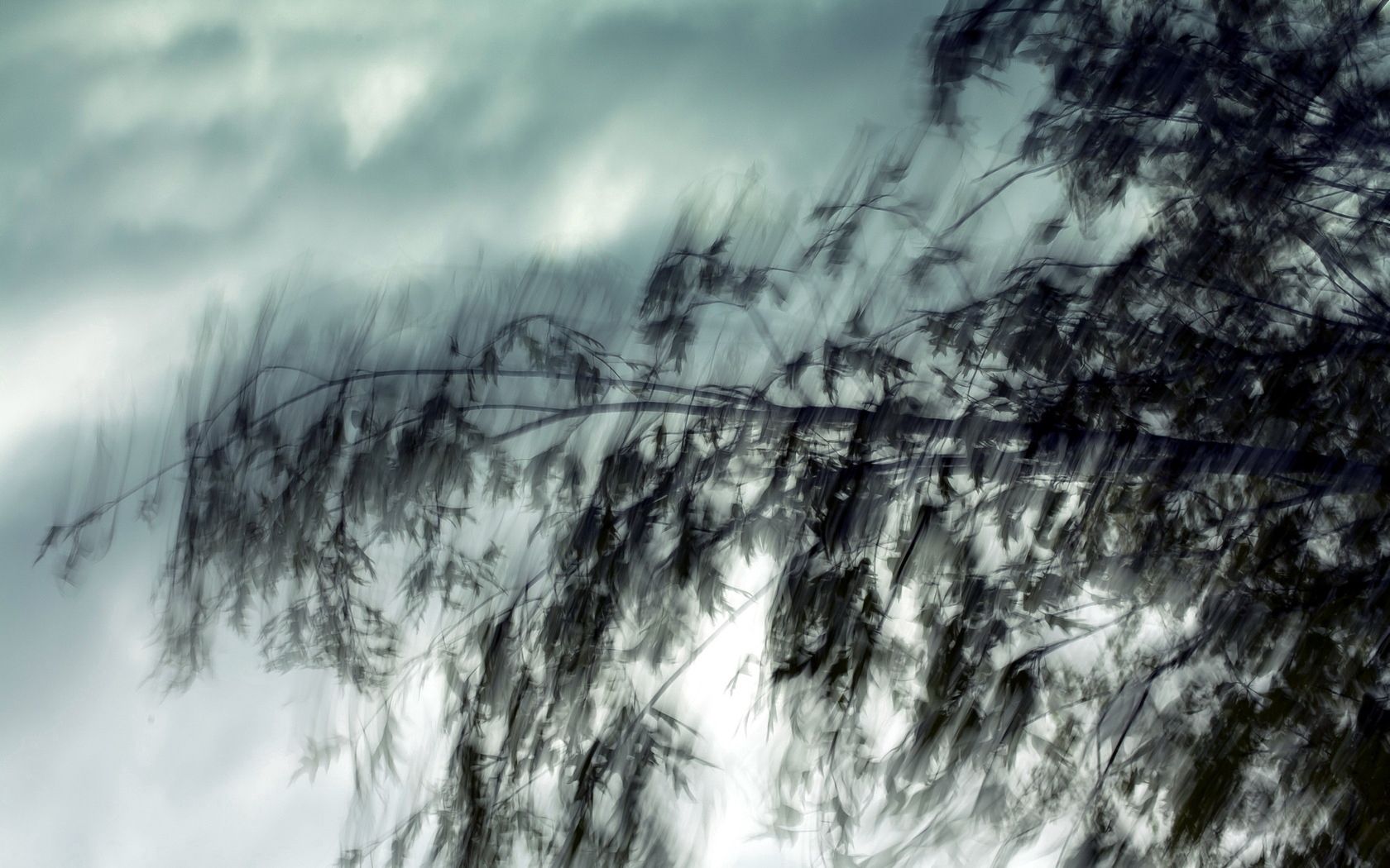 wind, blur, nature, traffic HD Phone wallpaper