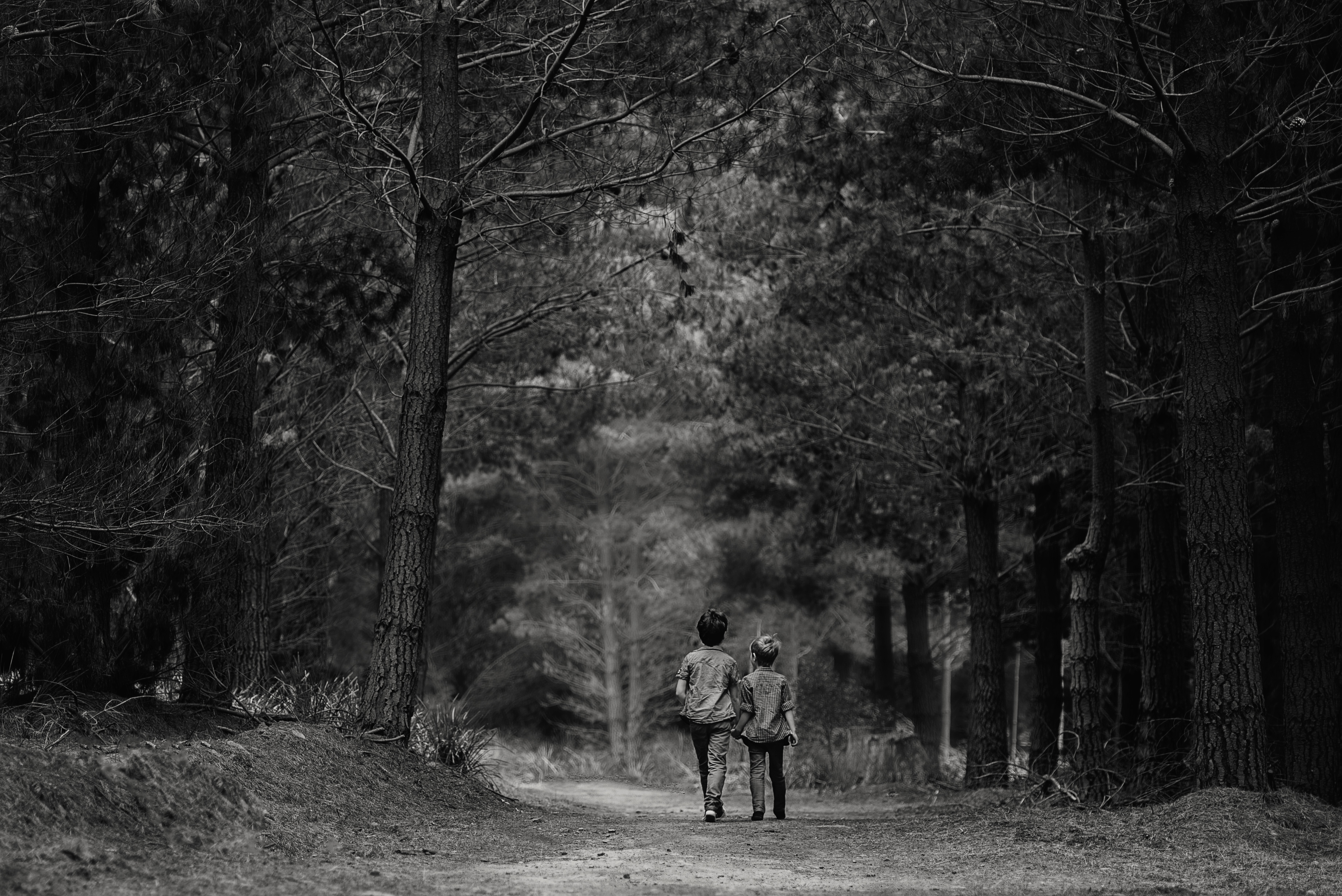 friends, forest, bw, stroll HD Wallpaper for Phone