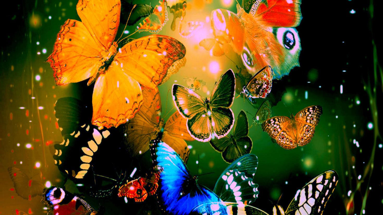 Обои на телефон бабочки живые красивые