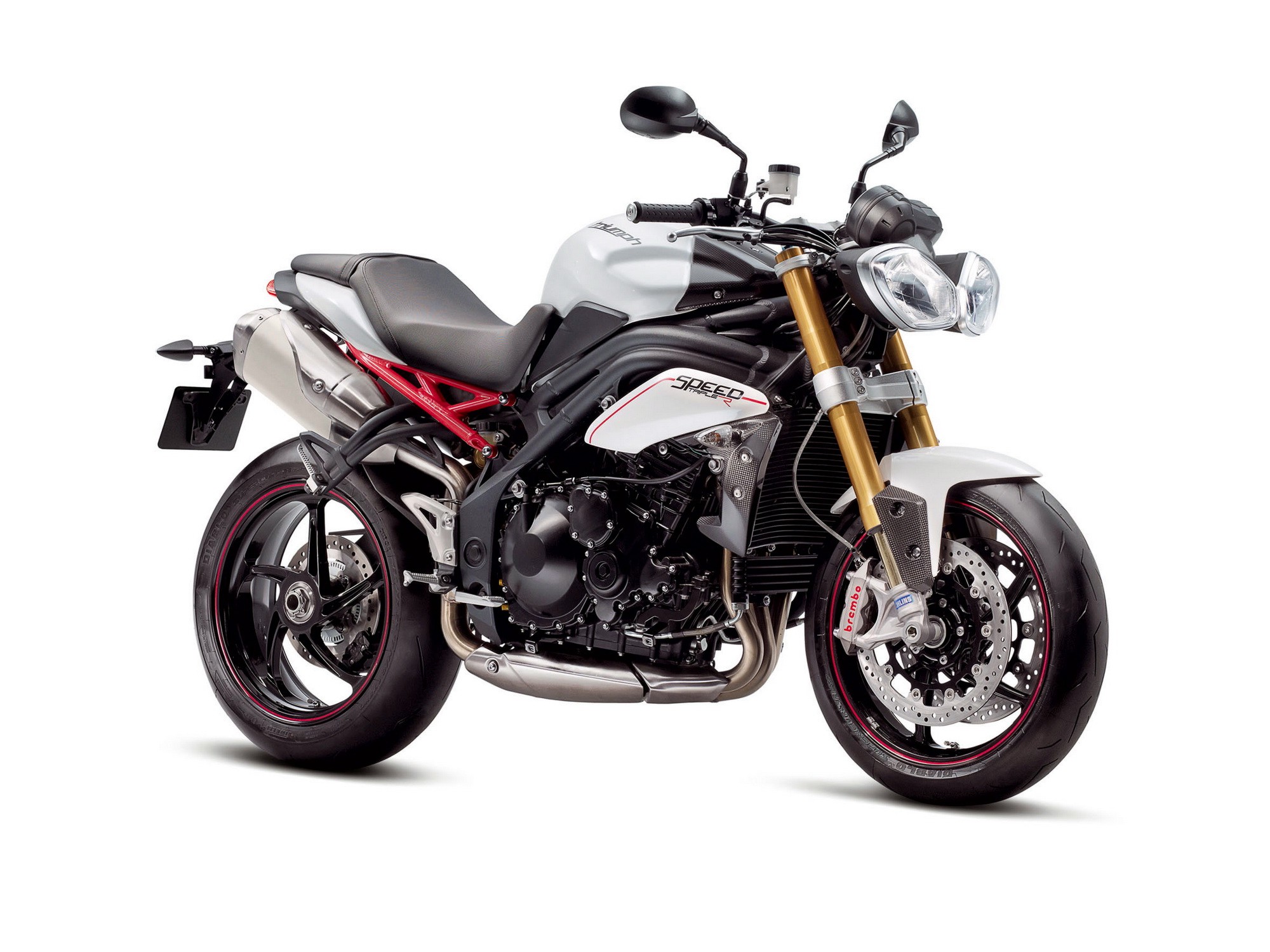 Motorcycle stylish, motorcycles, triumph speed triple, dear Free Stock Photos